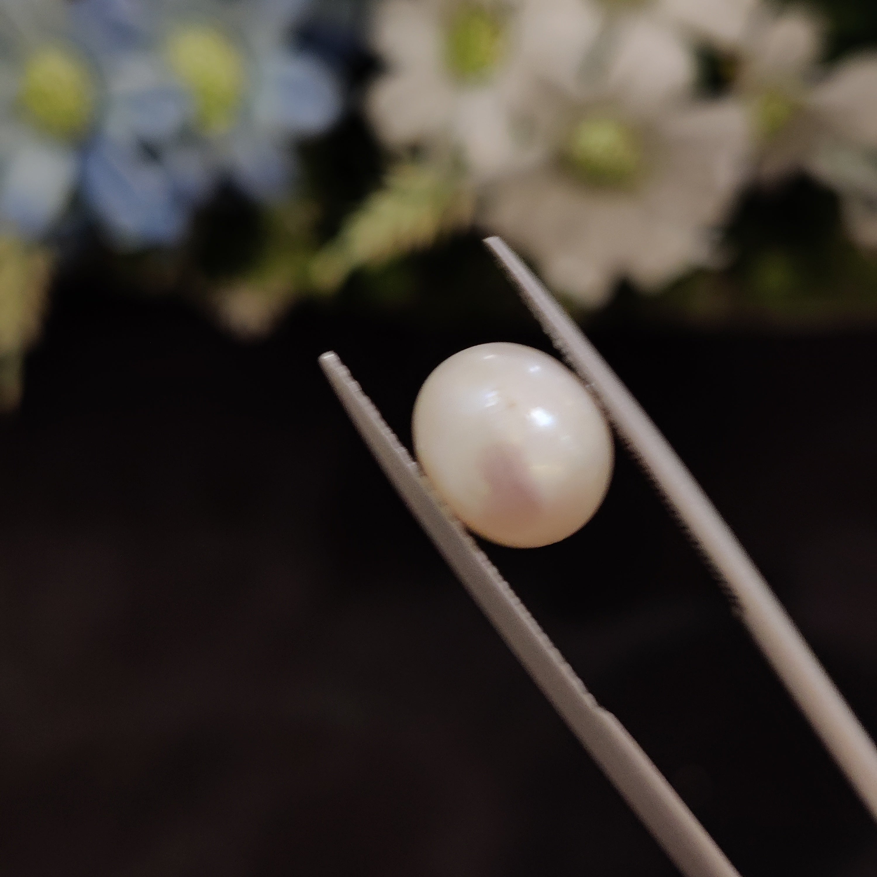 Pearl | Pearl 208 | 5.24 Carat