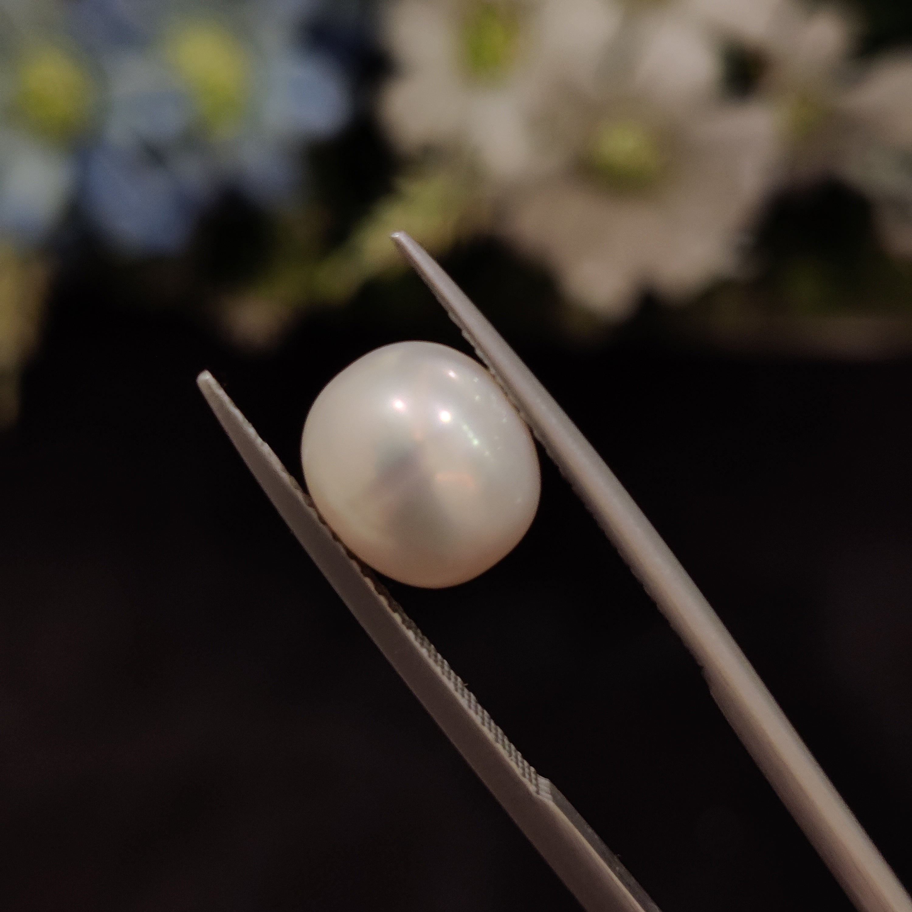 Pearl | Pearl 221 | 5.15 Carat