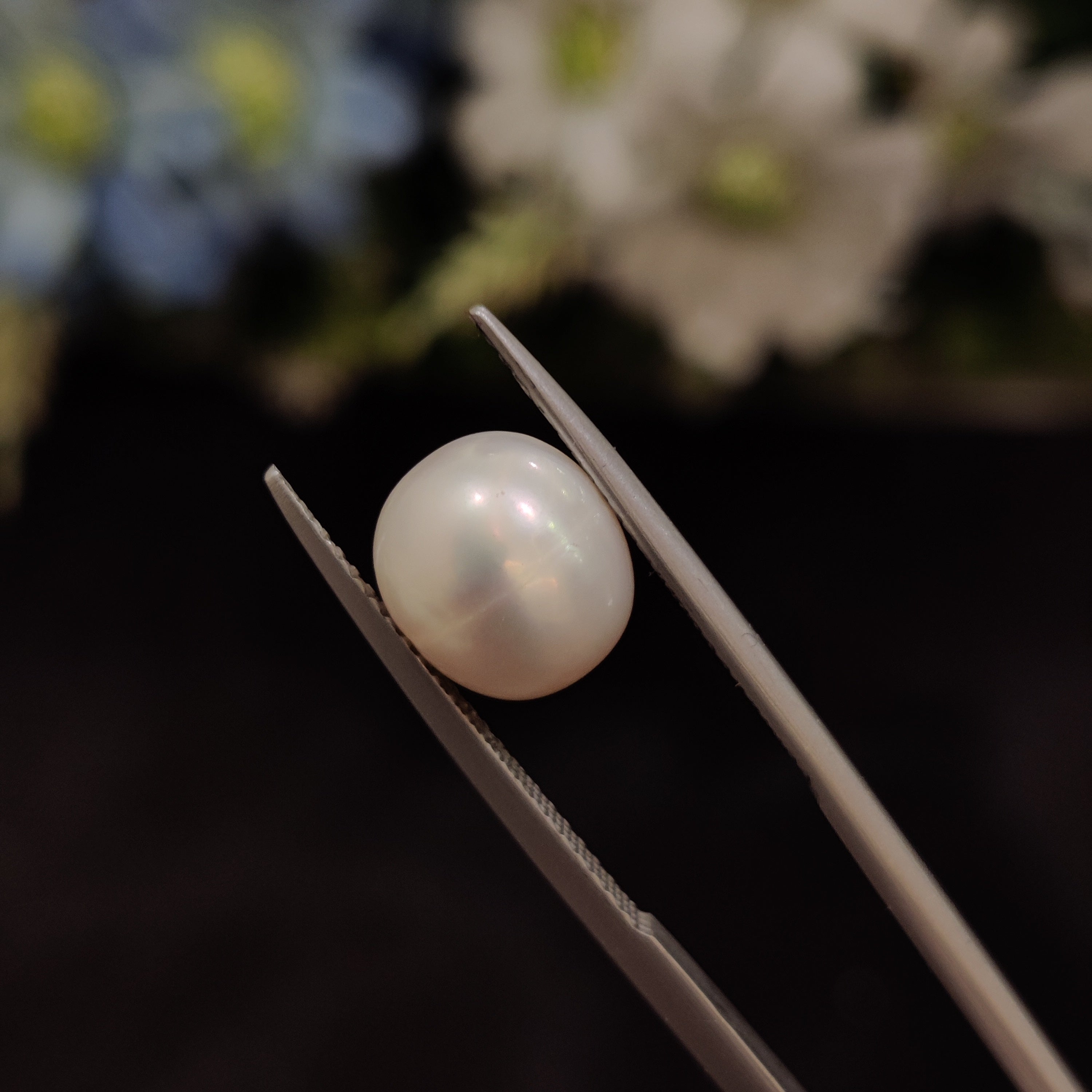 Pearl | Pearl 221 | 5.15 Carat