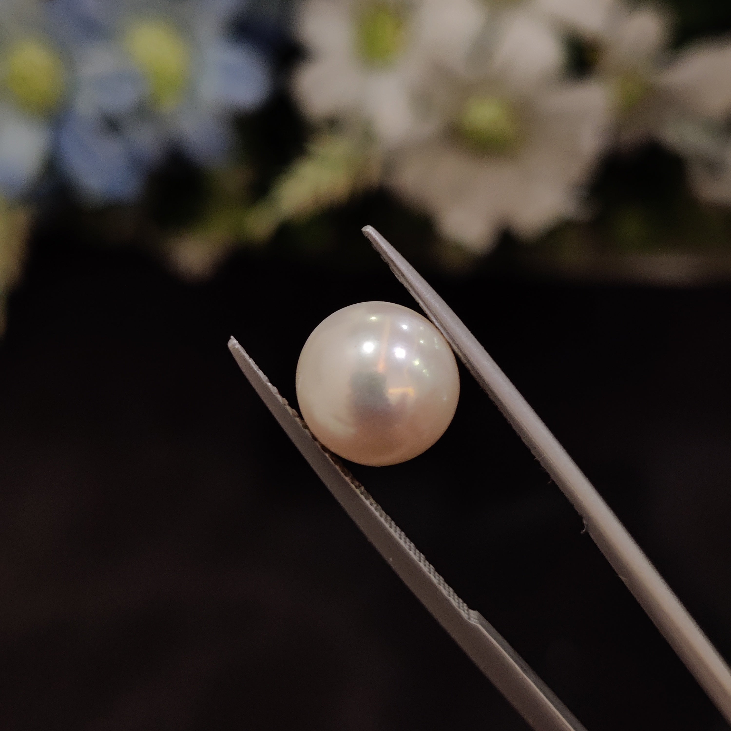 Pearl | Pearl 144 | 6.24 Carat