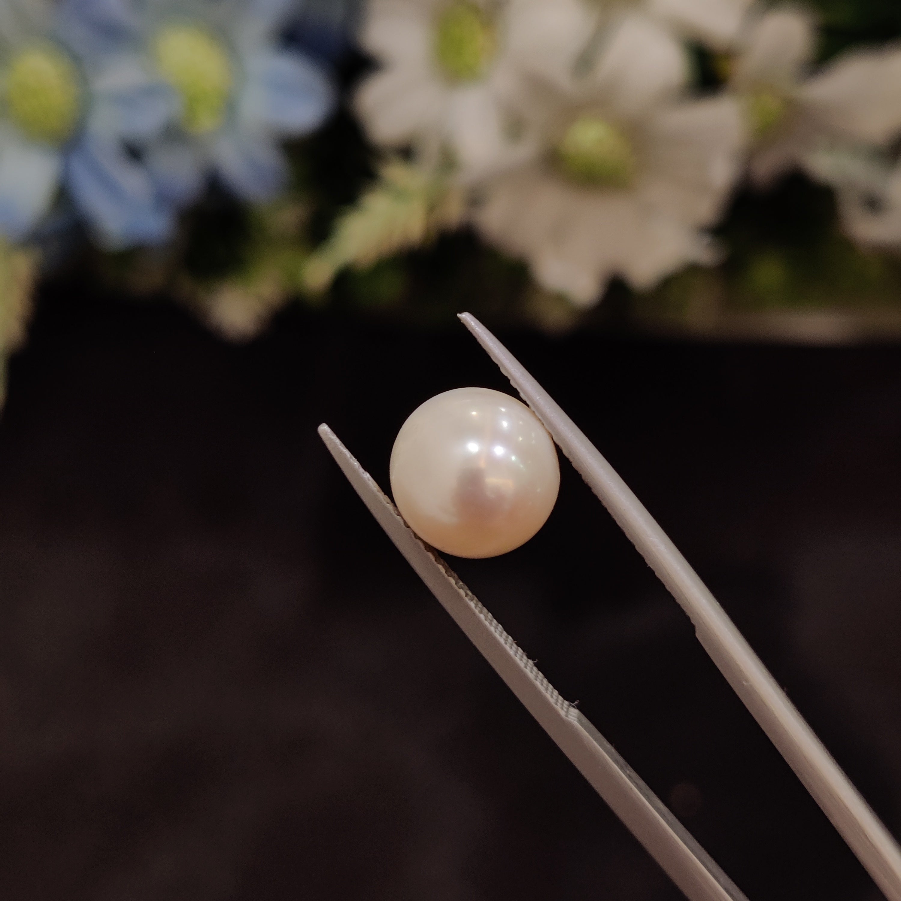 Pearl | Pearl 144 | 6.24 Carat