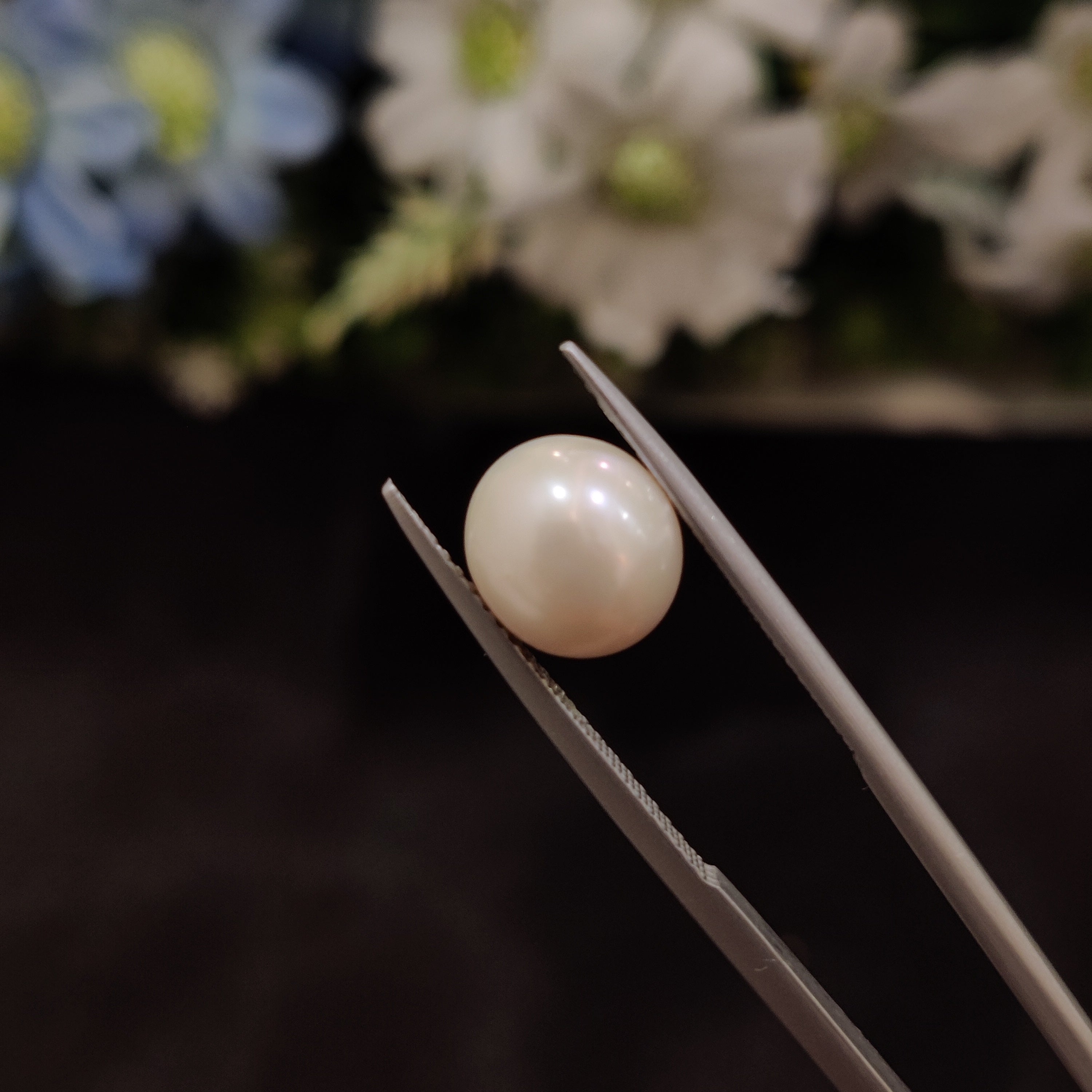 Pearl | Pearl 126 | 4.56 Carat