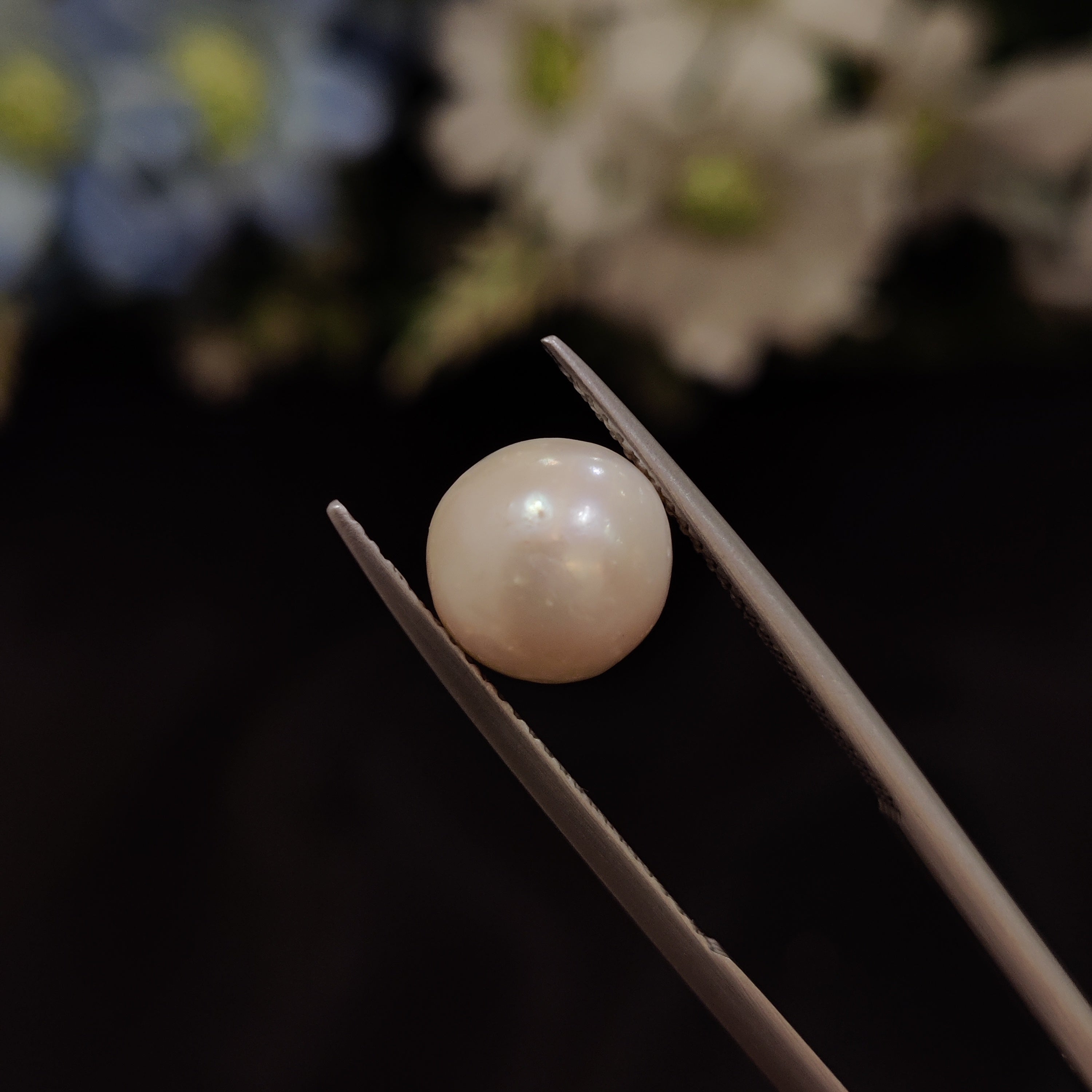 Pearl | Pearl 139 | 4.56 Carat