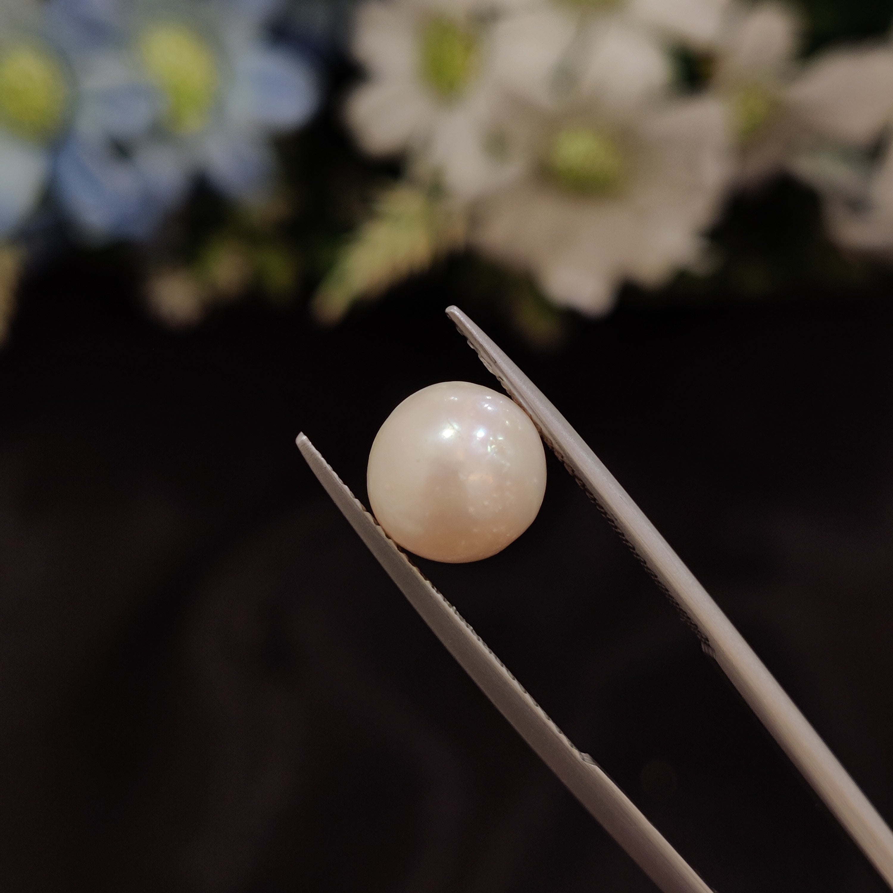 Pearl | Pearl 139 | 4.56 Carat