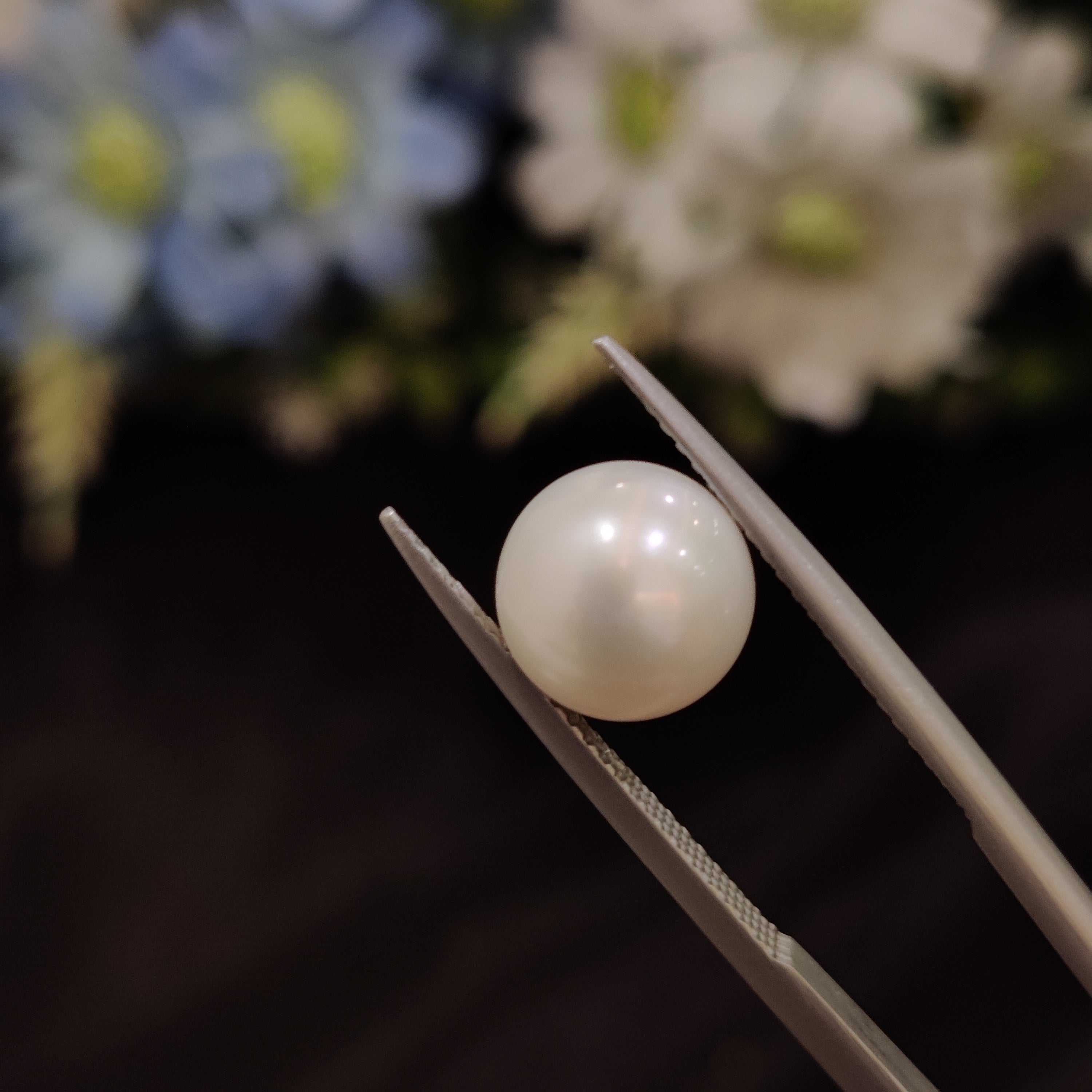 Pearl | Pearl 177 | 5.56 Carat