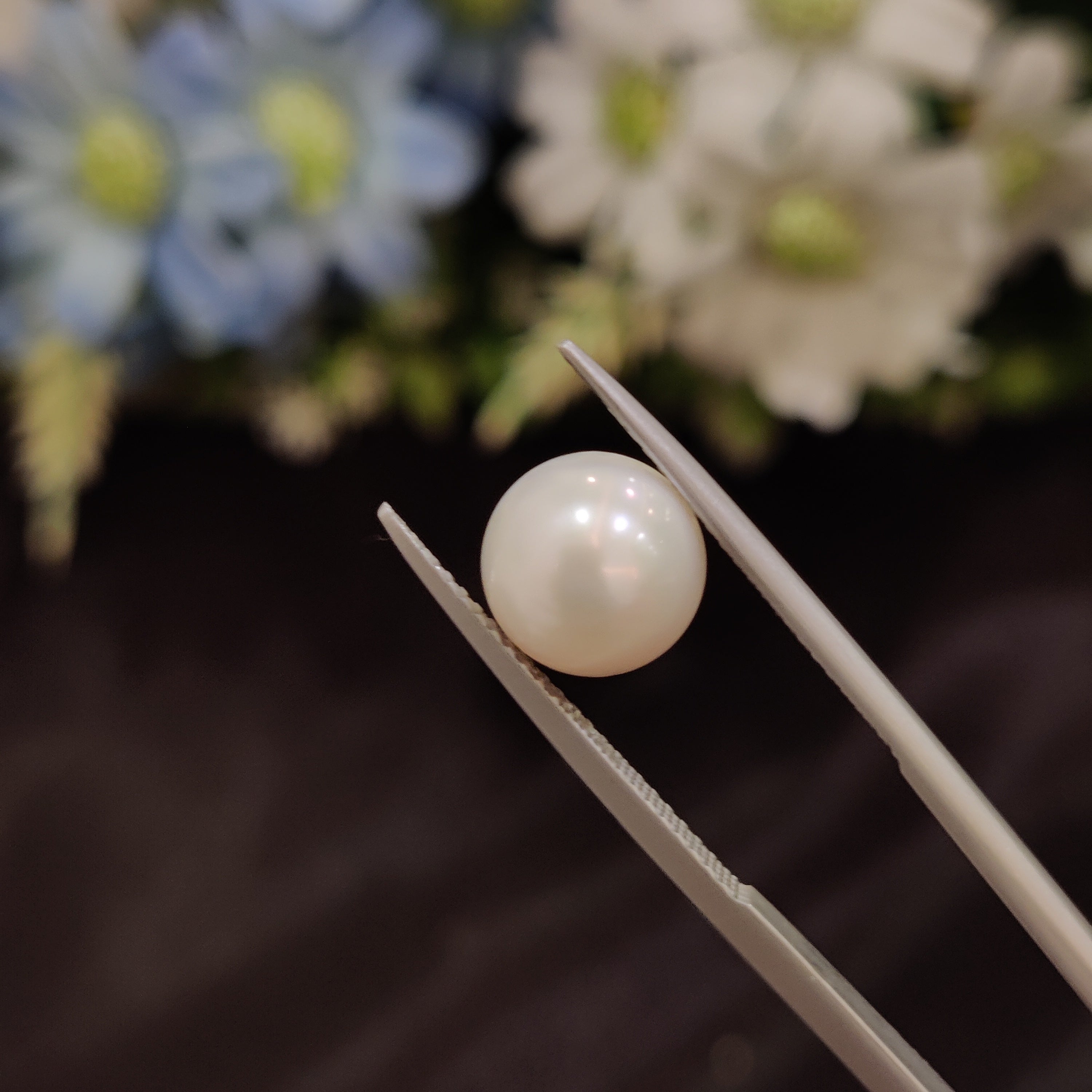 Pearl | Pearl 177 | 5.56 Carat