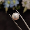 Pearl | Pearl 196 | 4.77 Carat