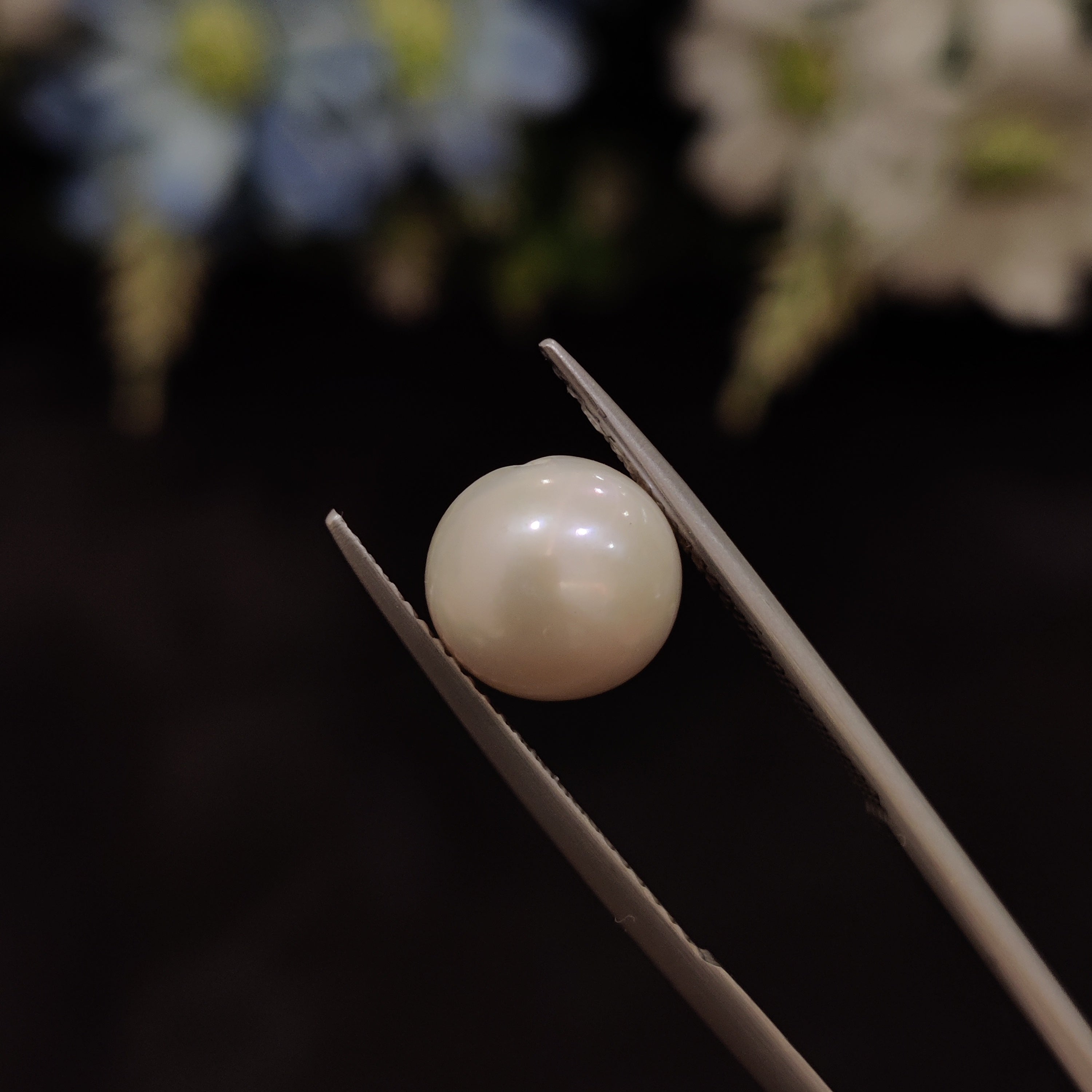 Pearl | Pearl 164 | 4.98 Carat