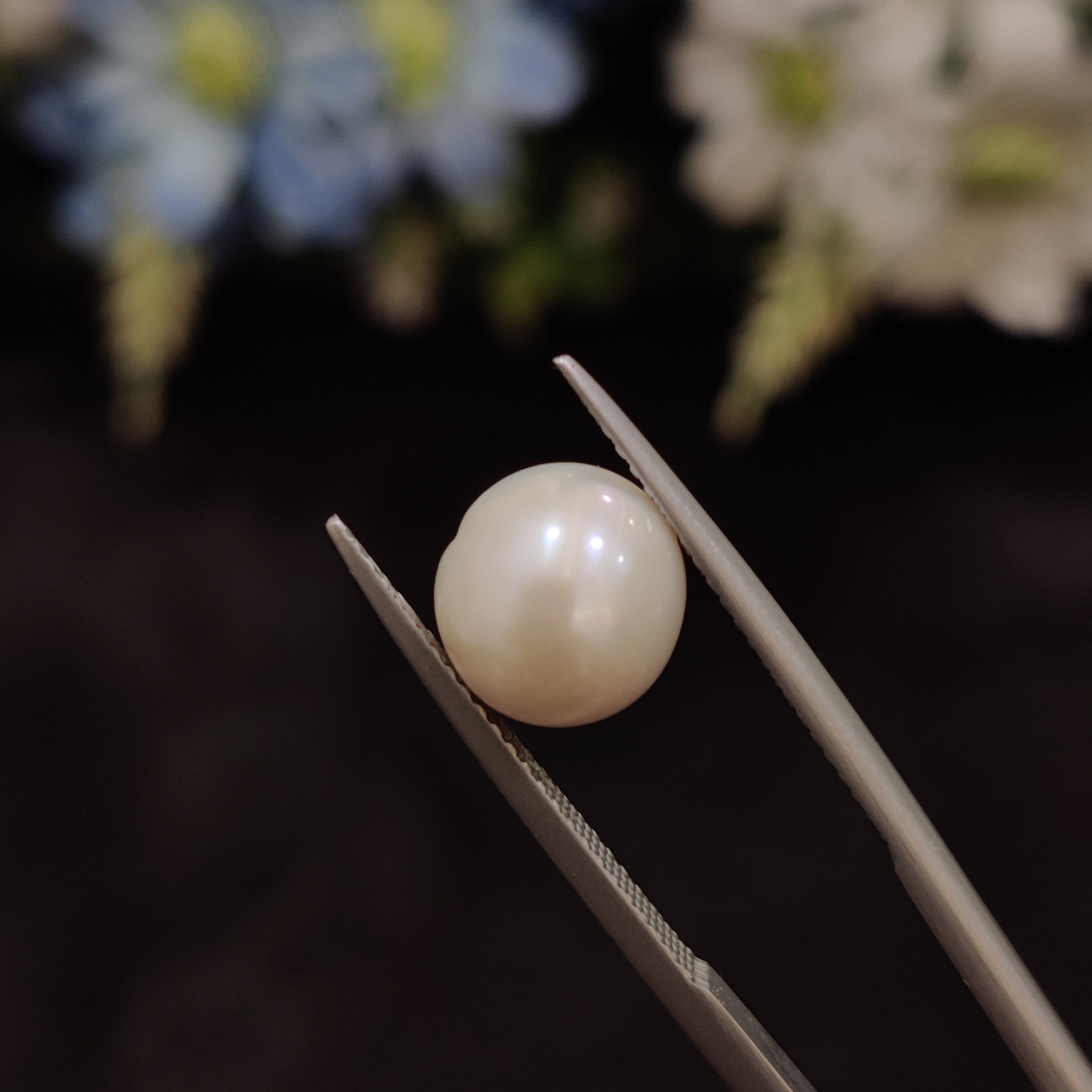 Pearl | Pearl 164 | 4.98 Carat