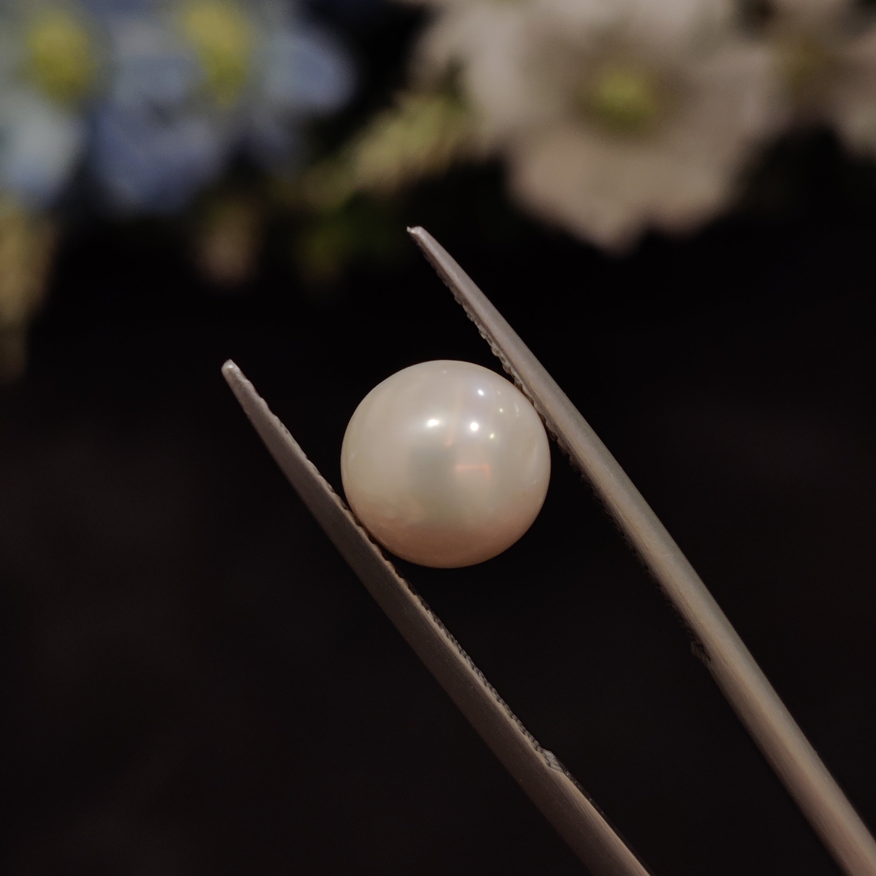 Pearl | Pearl 148 | 4.14 Carat