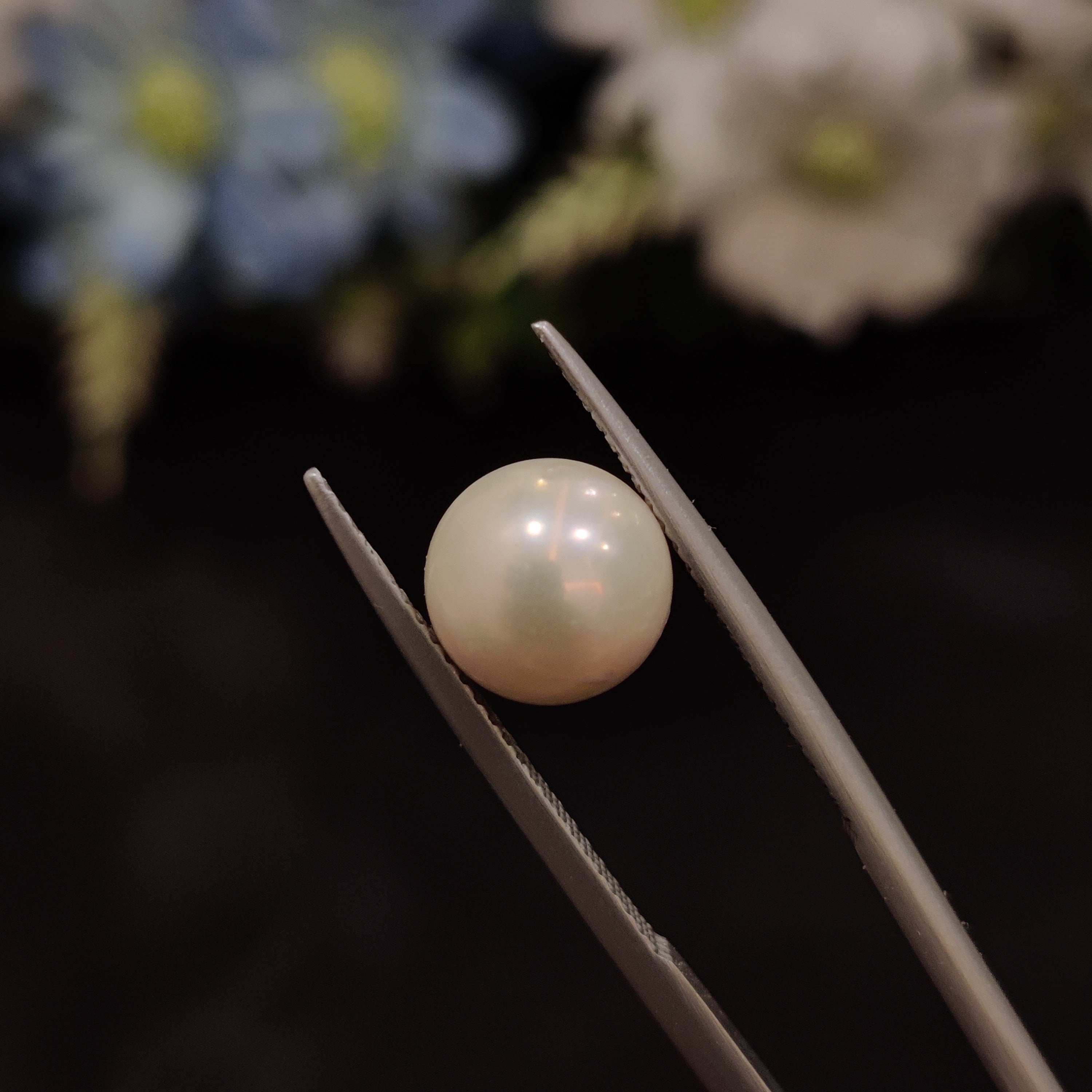 Pearl | Pearl 131 | 4.58 Carat