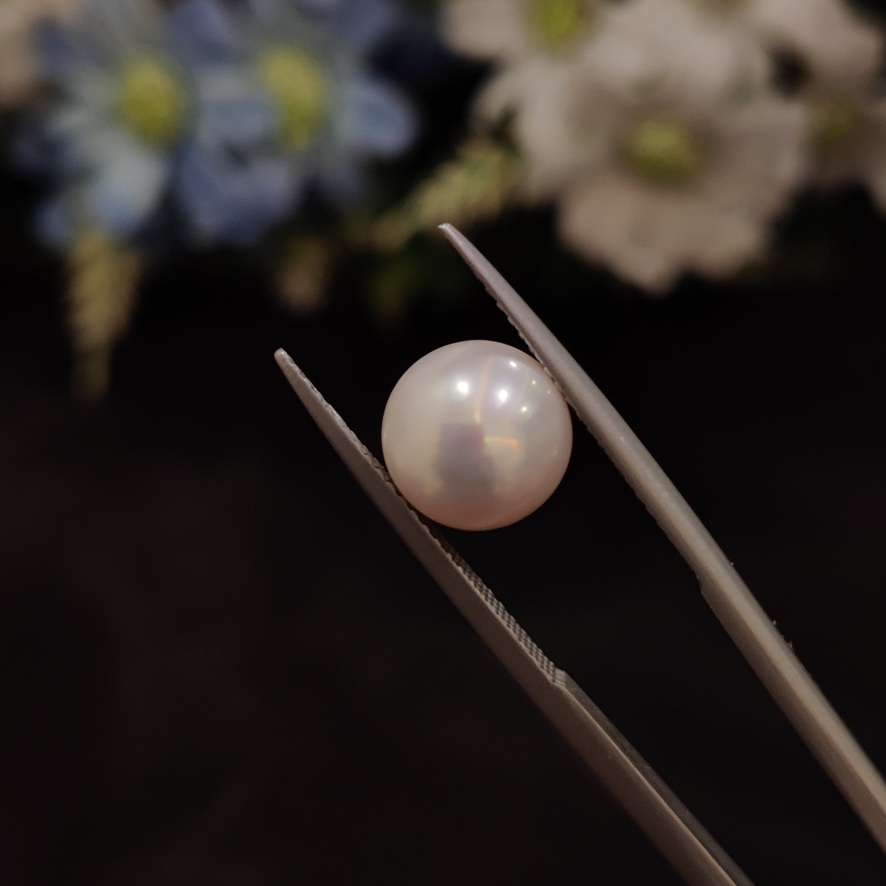 Pearl | Pearl 141 | 5.44 Carat