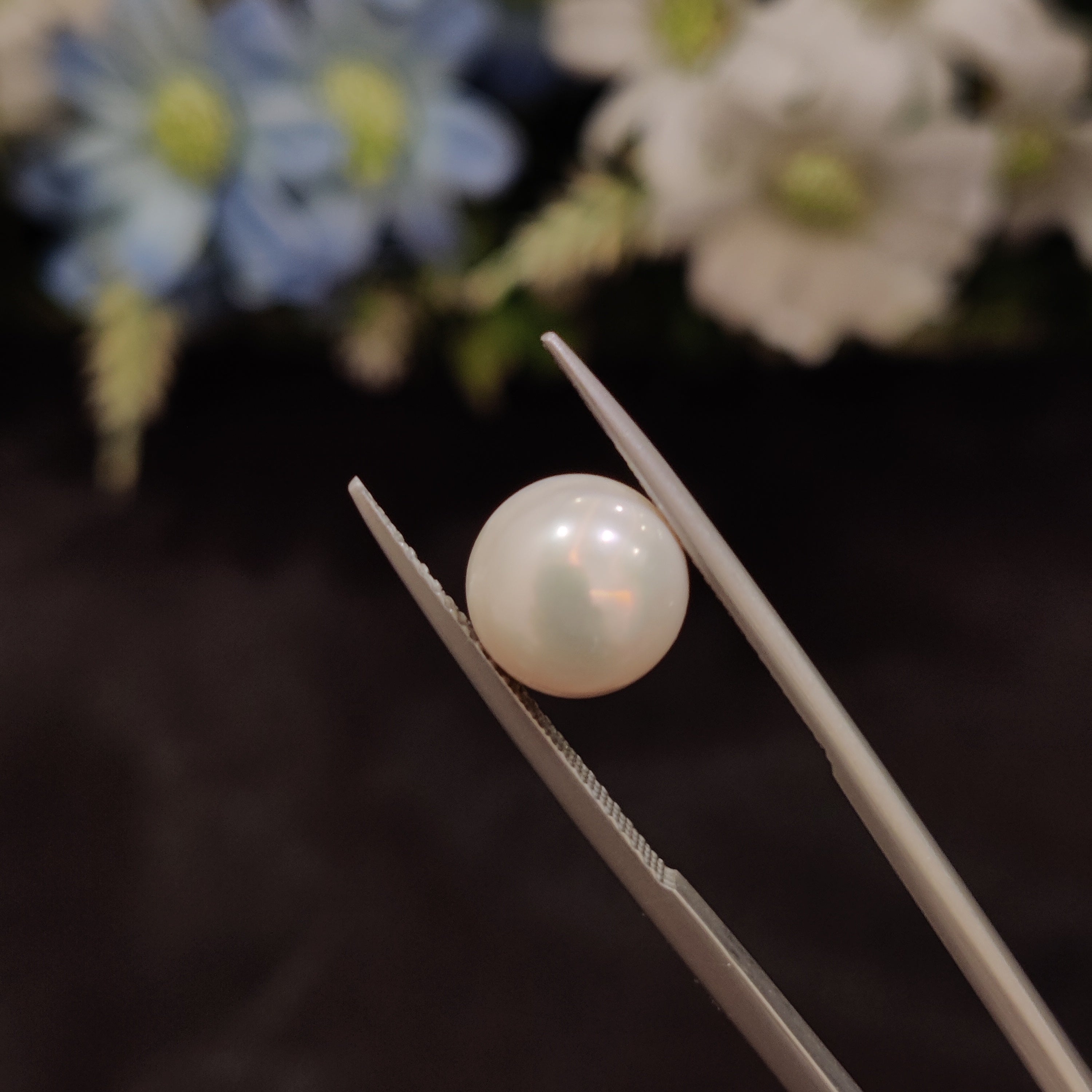 Pearl | Pearl 141 | 5.44 Carat