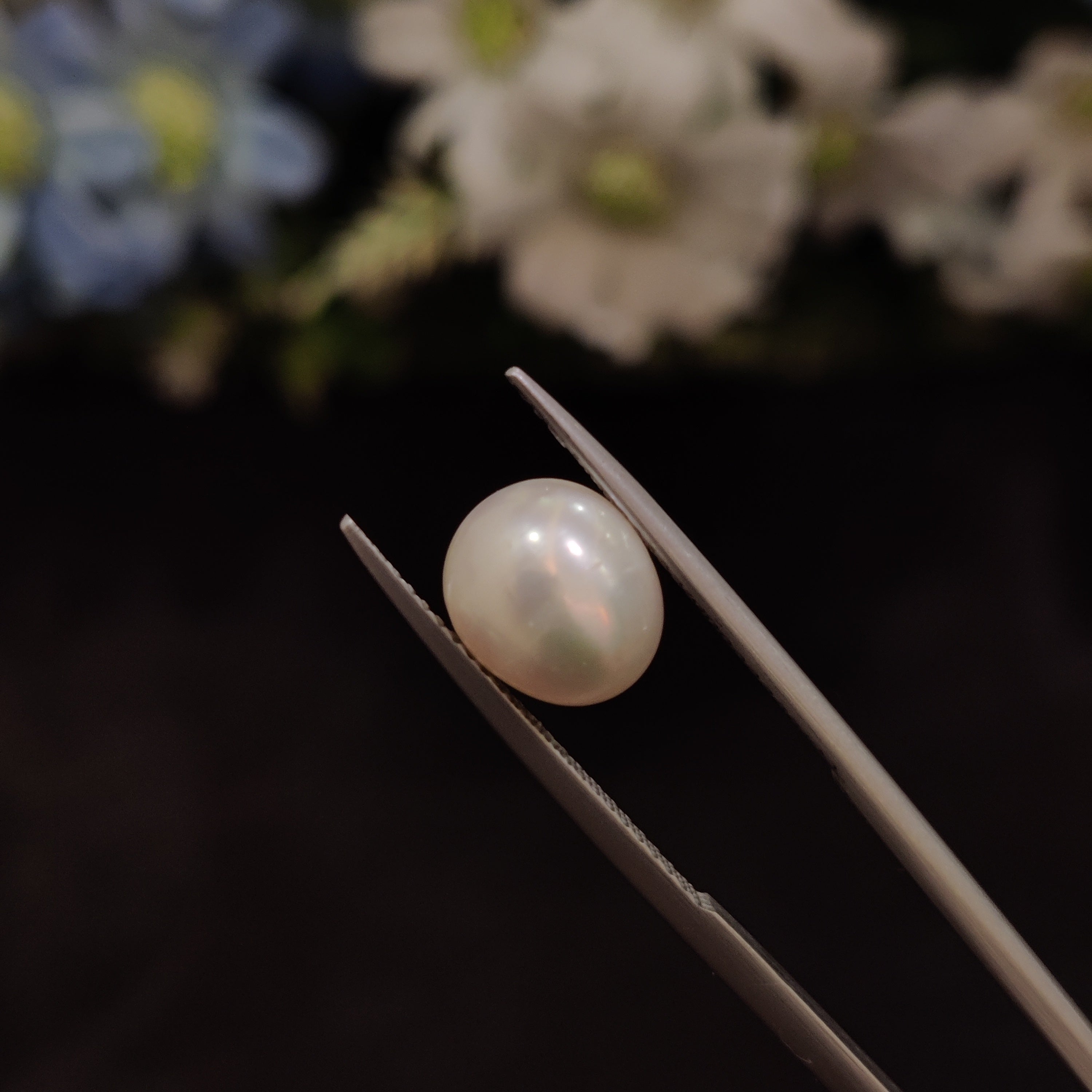 Pearl | Pearl 122 | 4.41 Carat