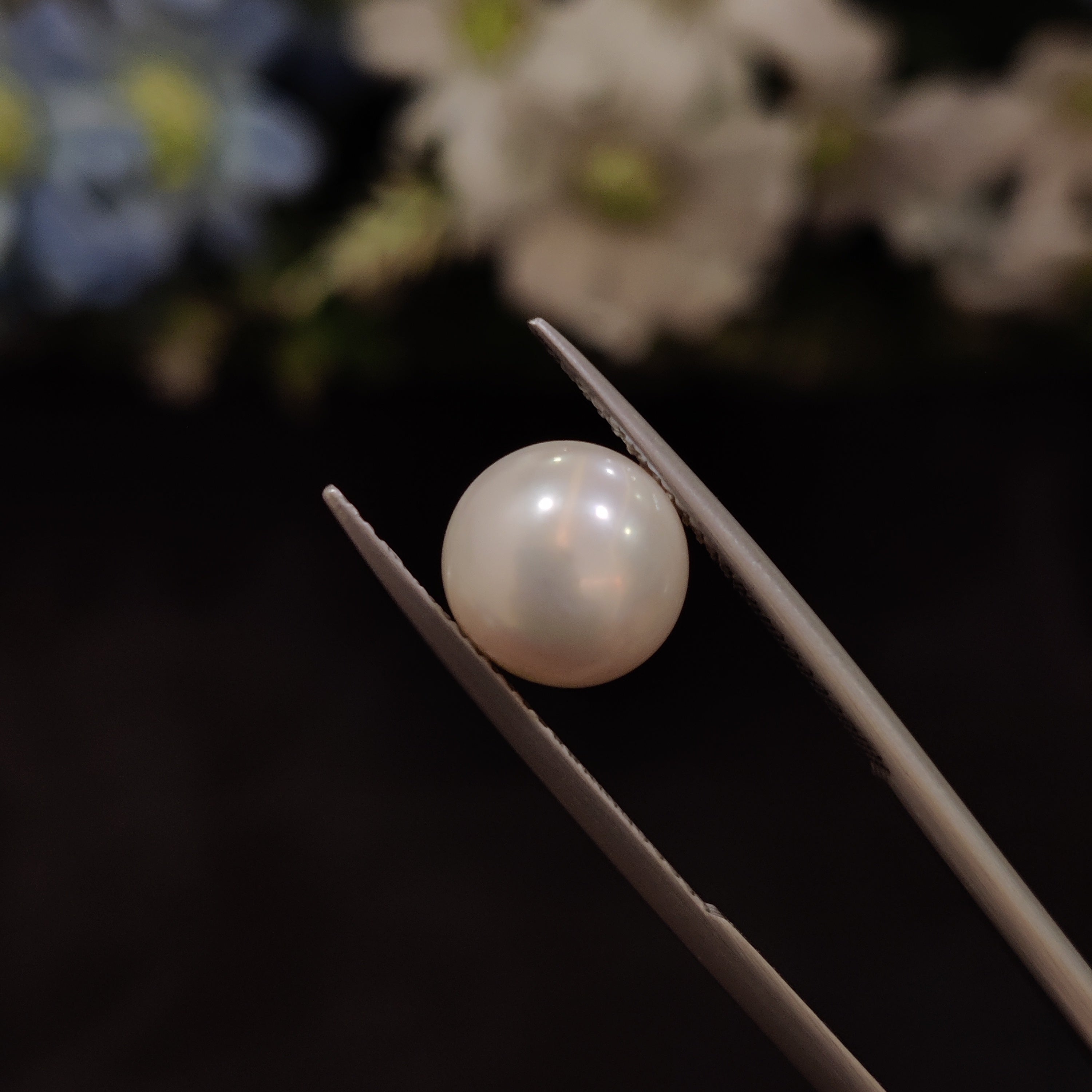 Pearl | Pearl 167 | 5.98 Carat