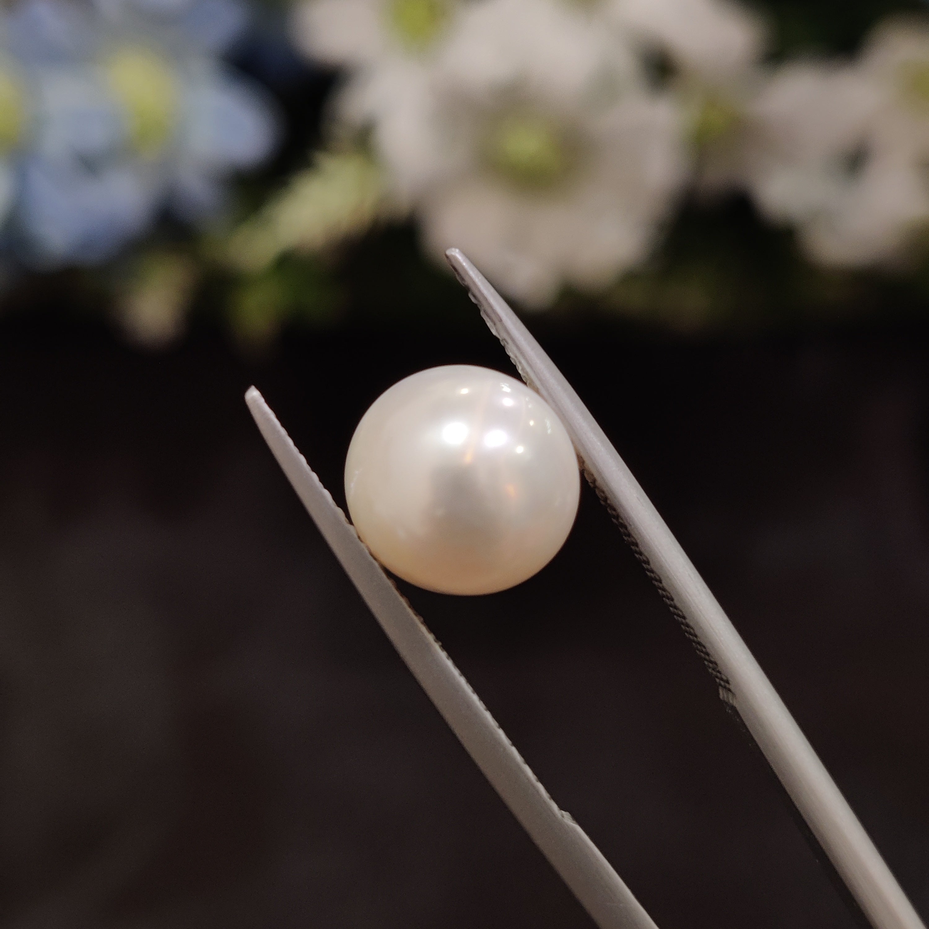 Pearl | Pearl 167 | 5.98 Carat