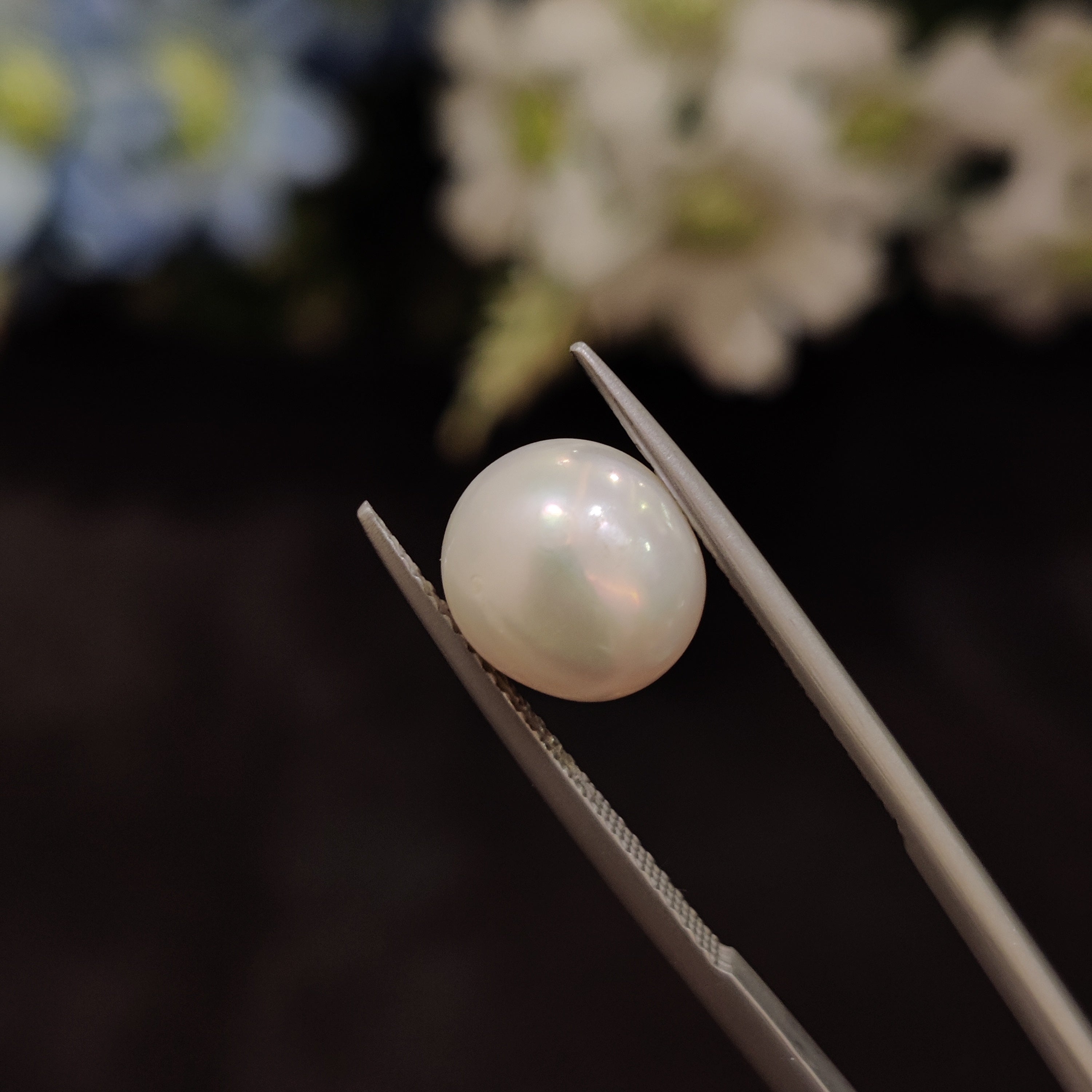 Pearl | Pearl 168 | 5.57 Carat