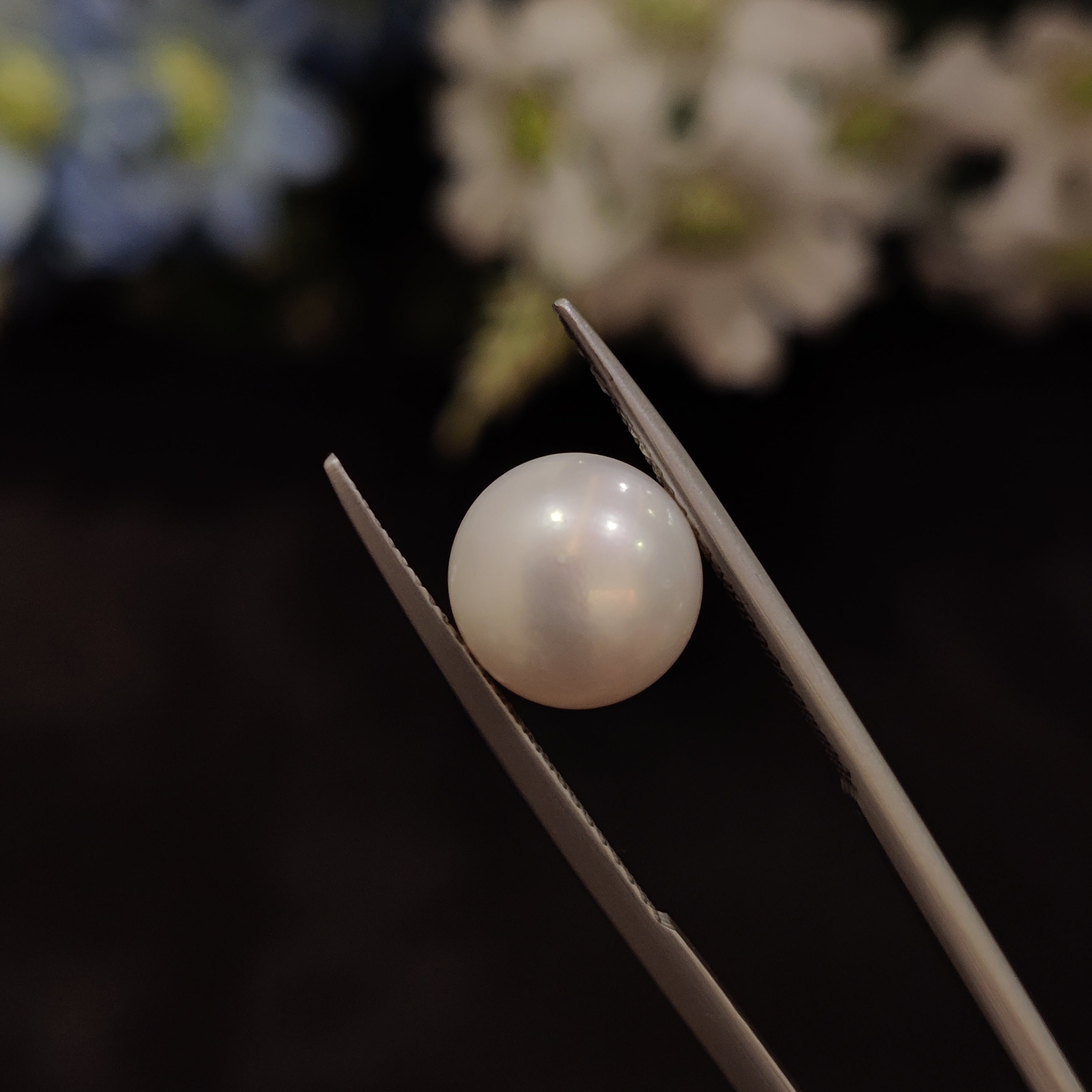 Pearl | Pearl 207 | 4.8 Carat