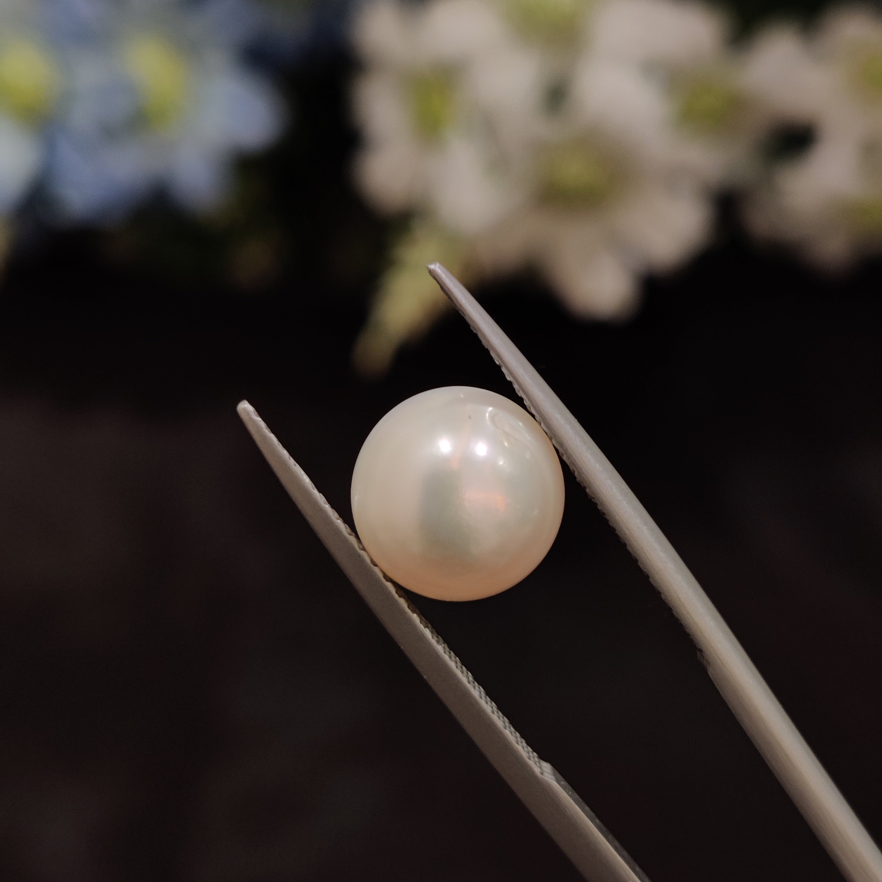 Pearl | Pearl 207 | 4.8 Carat