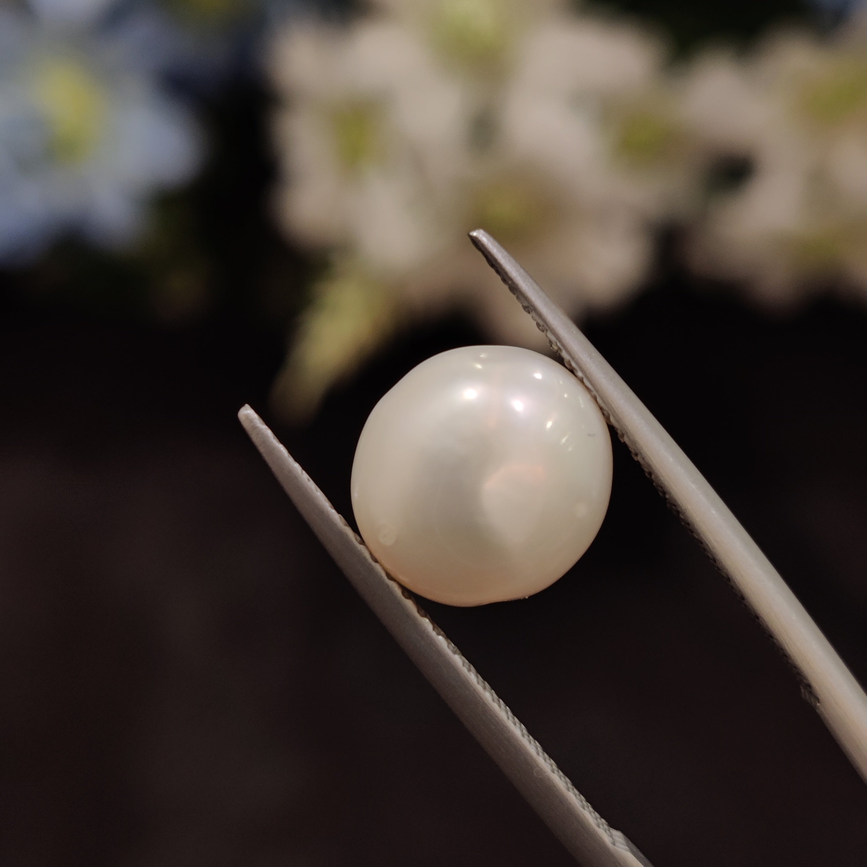 Pearl | Pearl 216 | 5.09 Carat