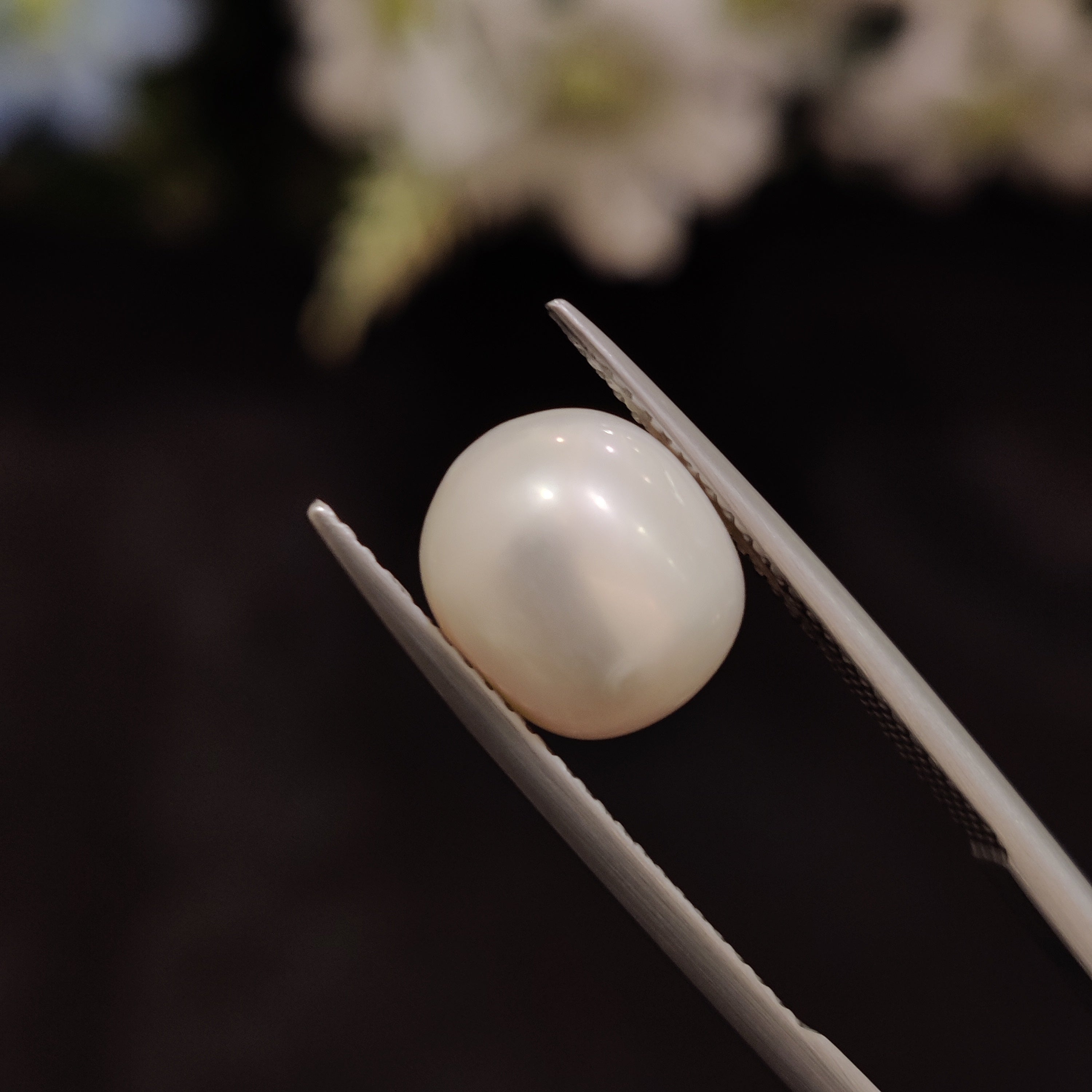 Pearl | Pearl 223 | 5.47 Carat