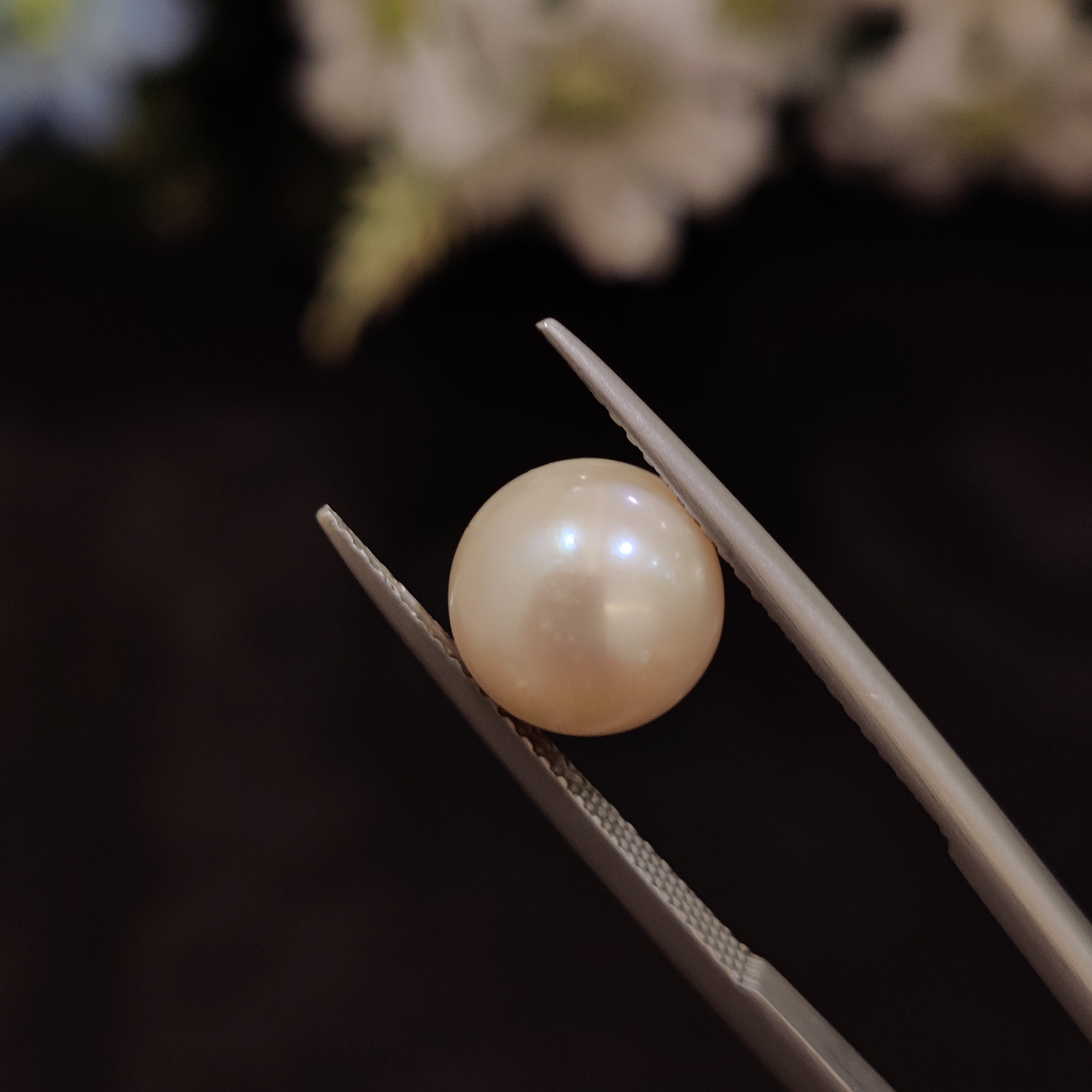 Pearl | Pearl 165 | 6.01 Carat