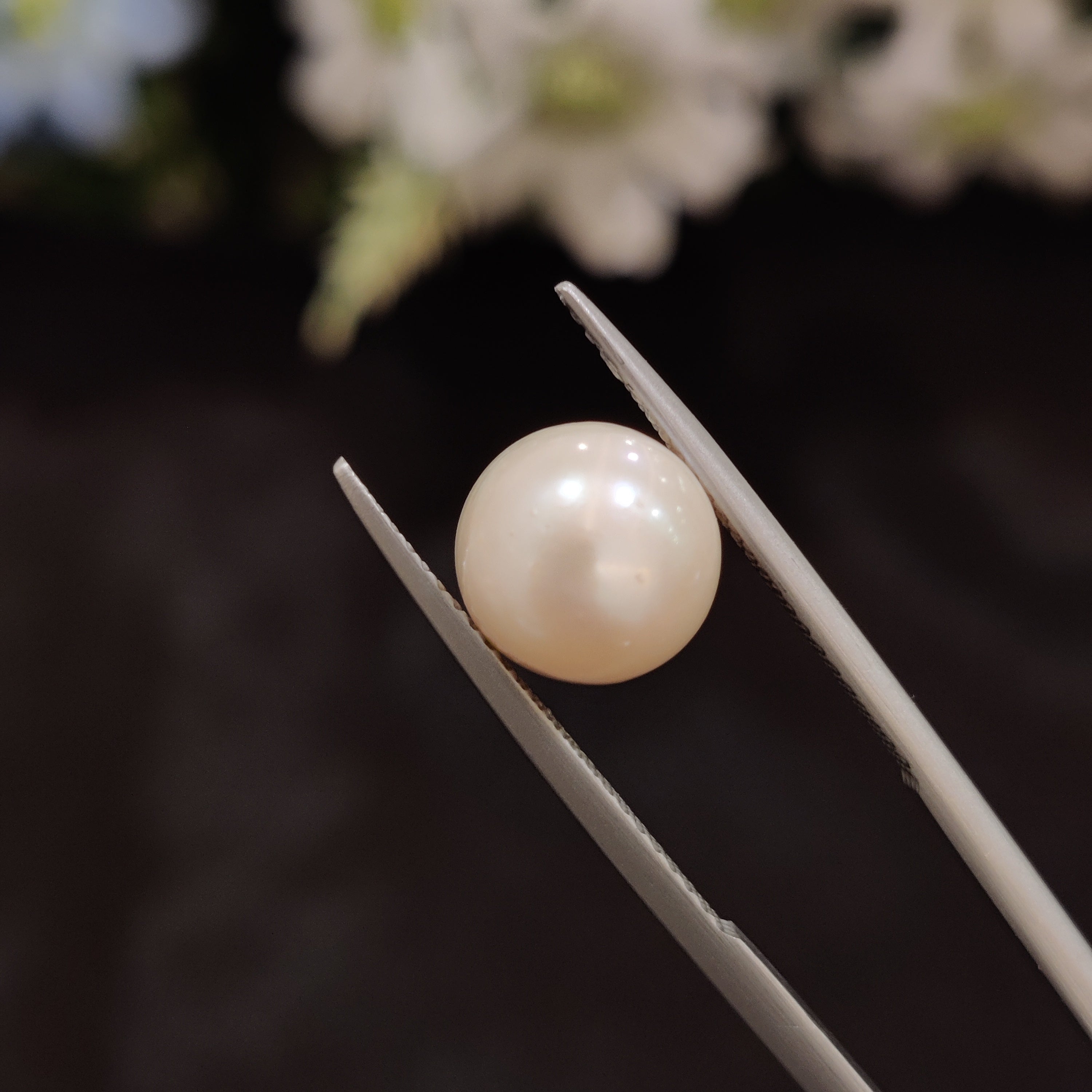 Pearl | Pearl 165 | 6.01 Carat