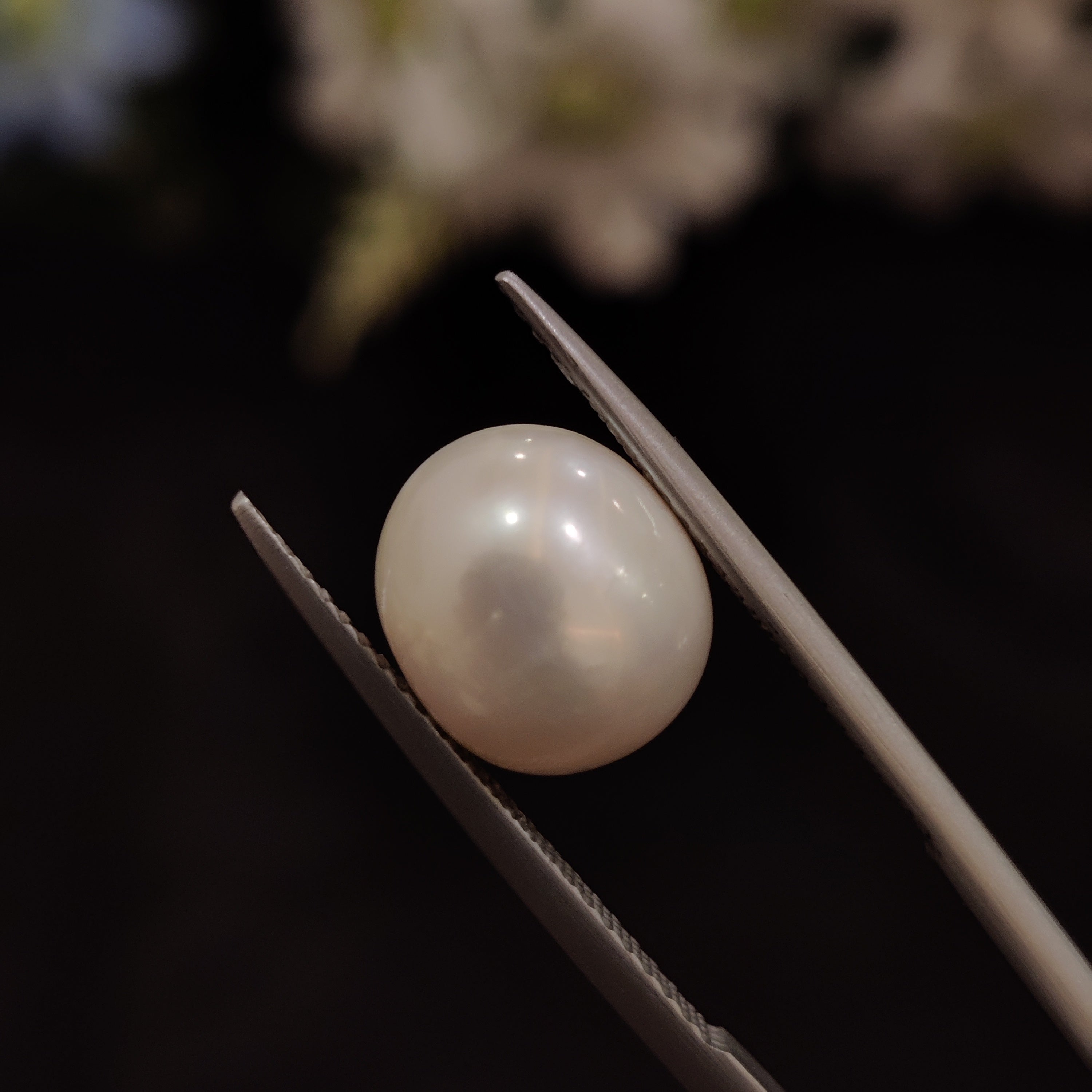 Pearl | Pearl 179 | 6.41 Carat