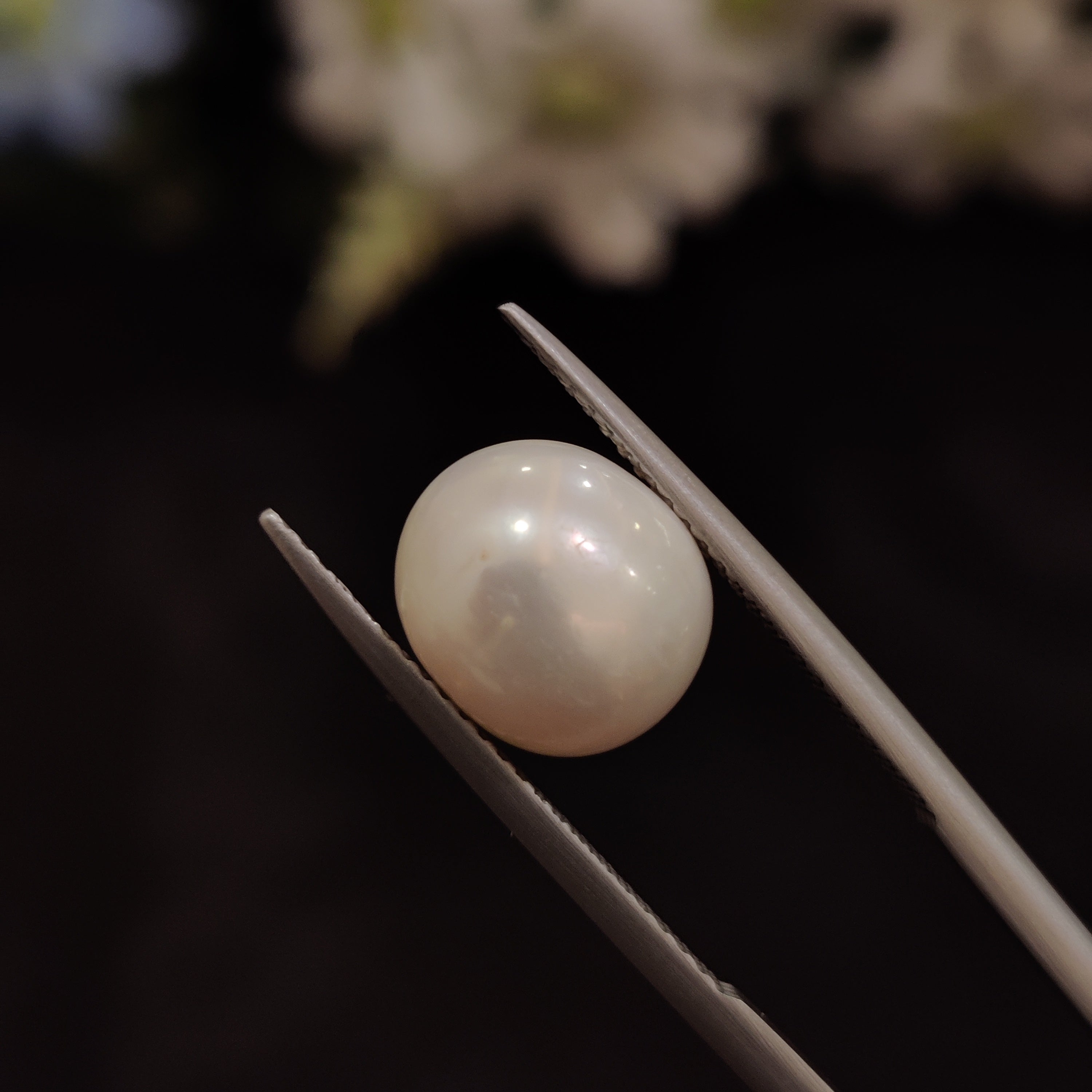 Pearl | Pearl 179 | 6.41 Carat