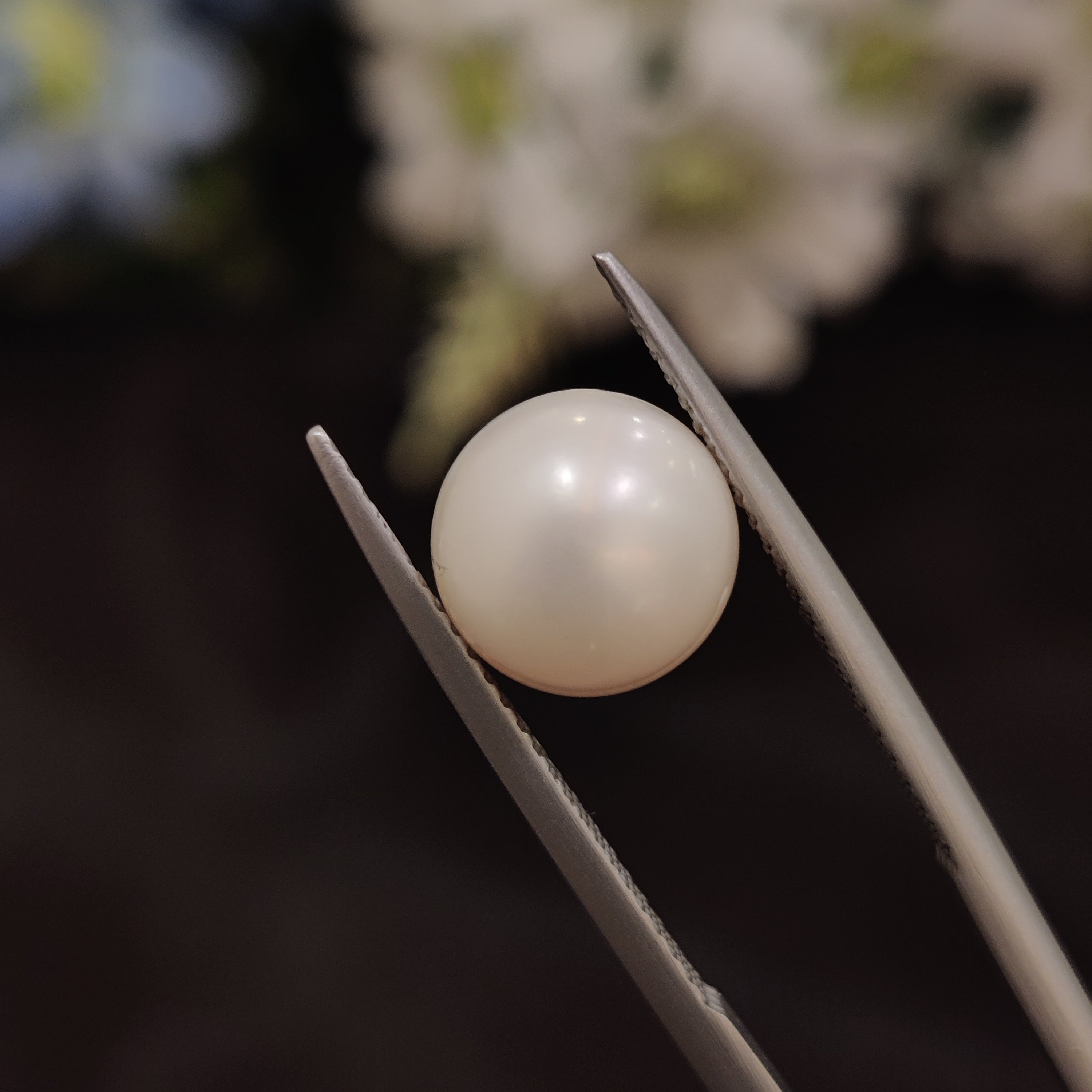 Pearl | Pearl 202 | 6.29 Carat