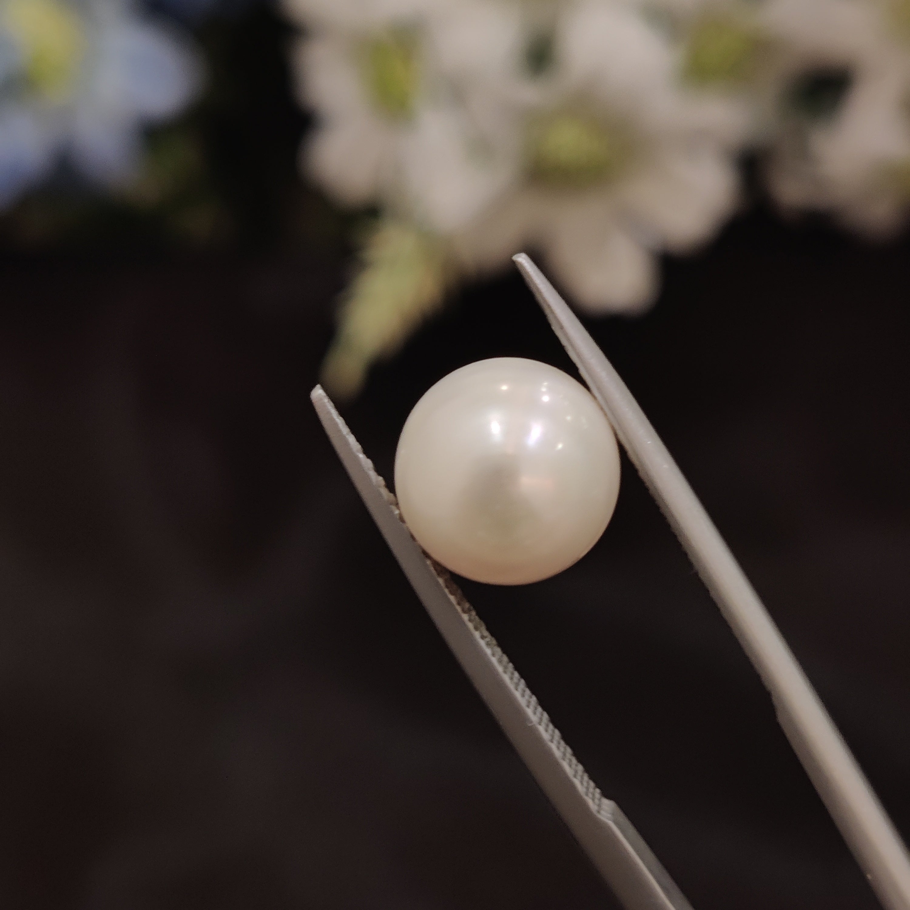 Pearl | Pearl 202 | 6.29 Carat