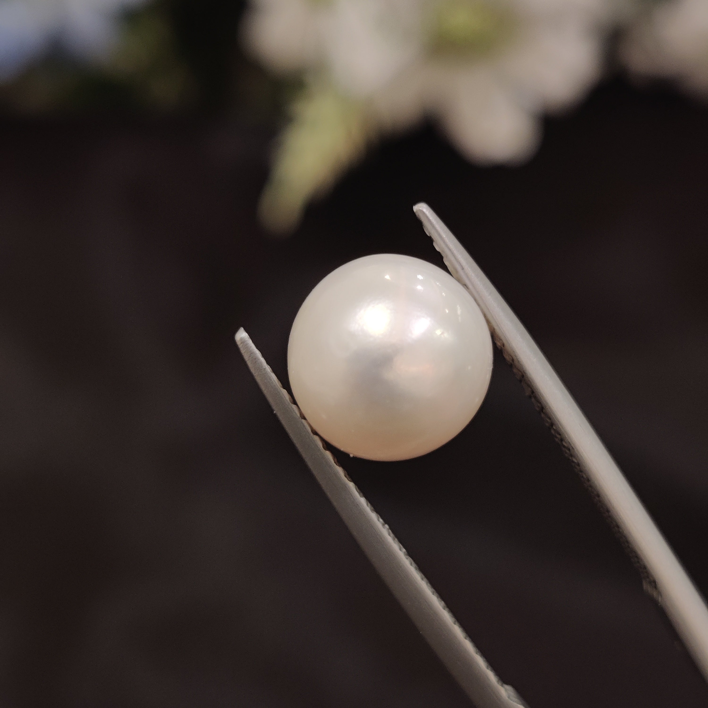 Pearl | Pearl 190 | 6.24 Carat