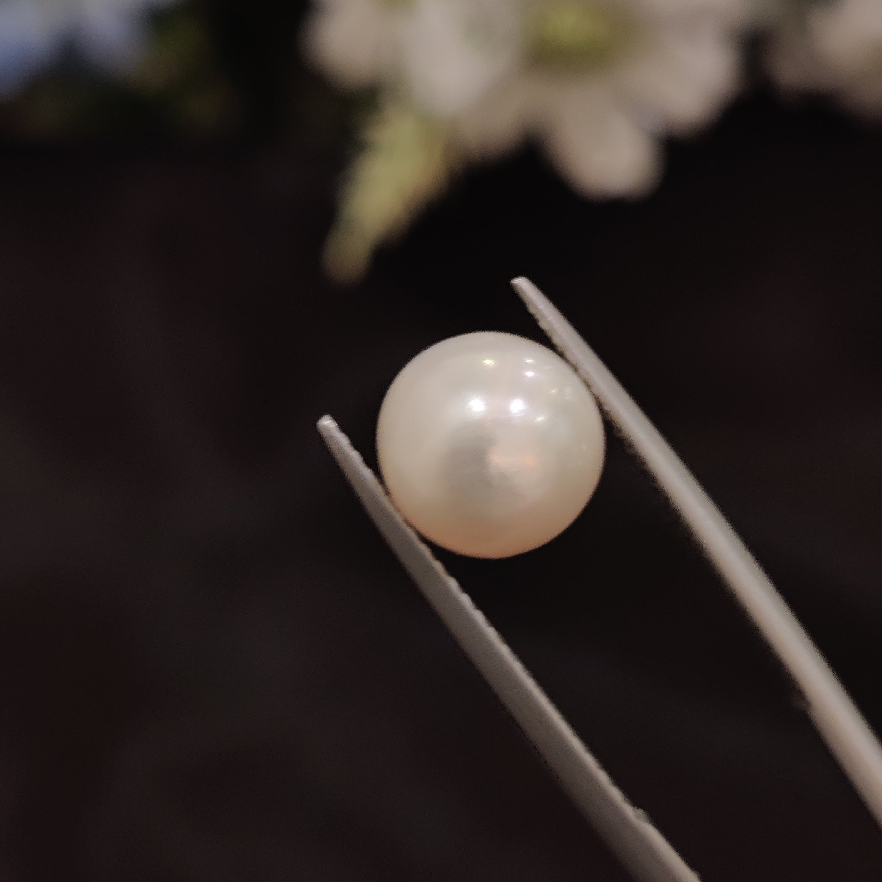Pearl | Pearl 190 | 6.24 Carat