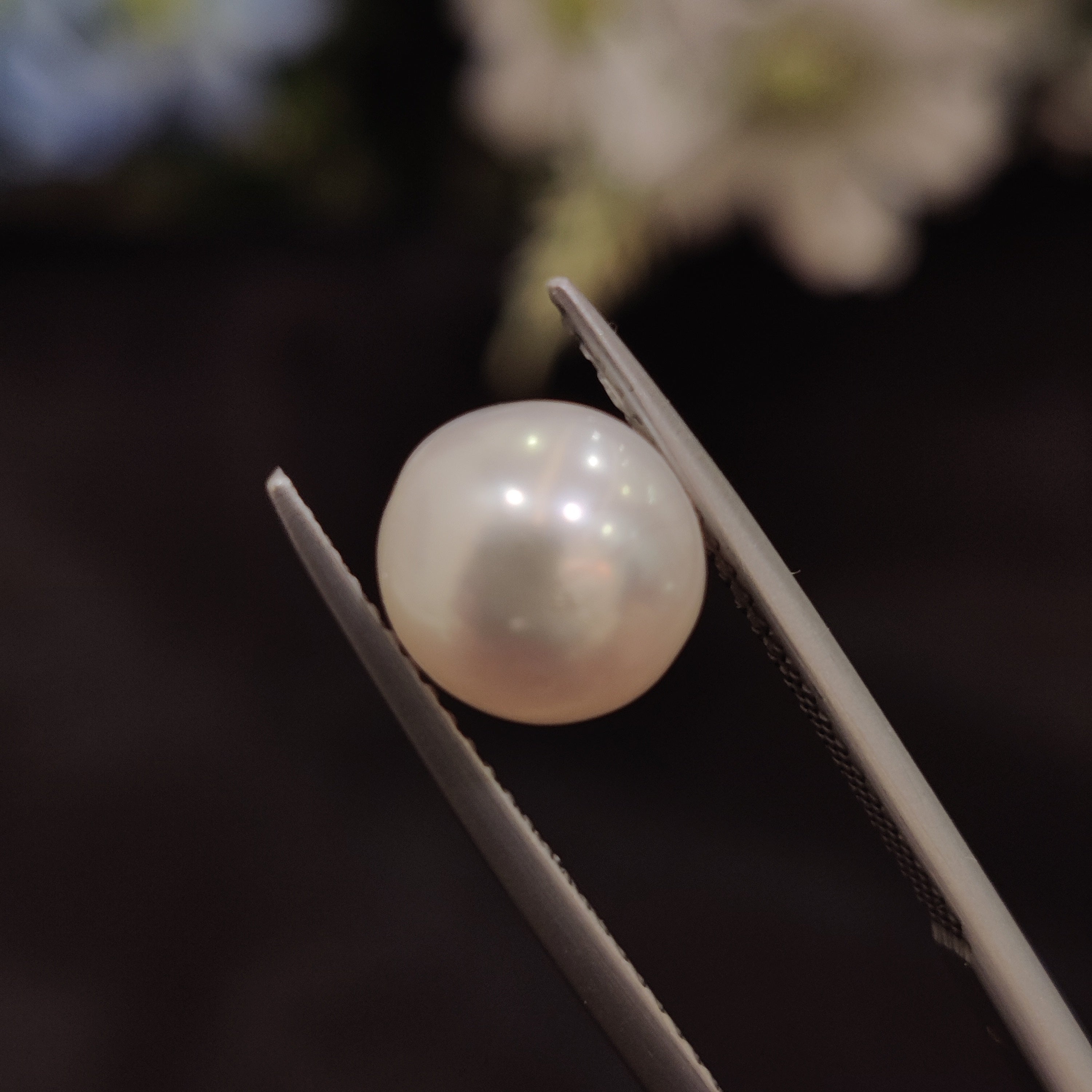 Pearl | Pearl 170 | 4.82 Carat