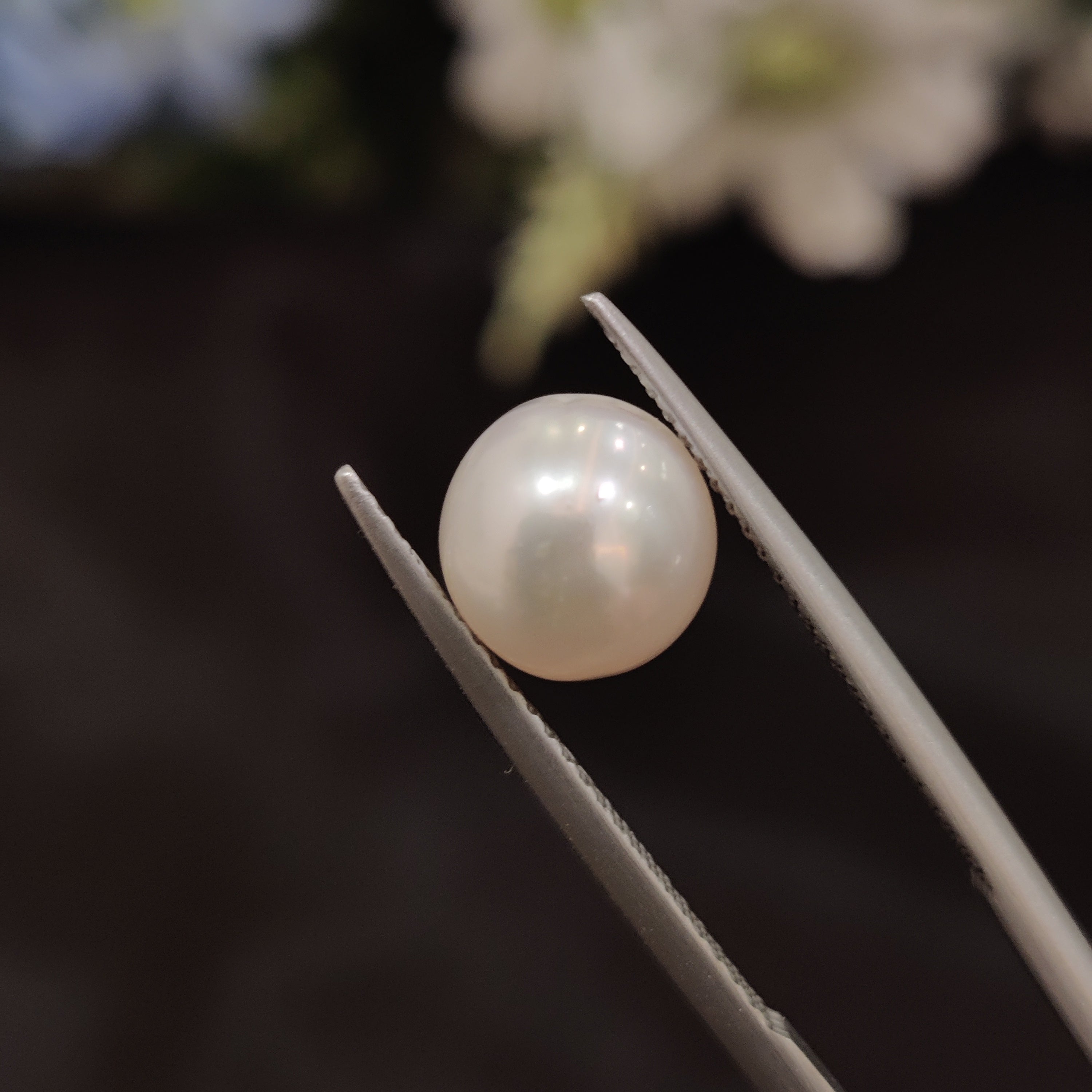Pearl | Pearl 170 | 4.82 Carat
