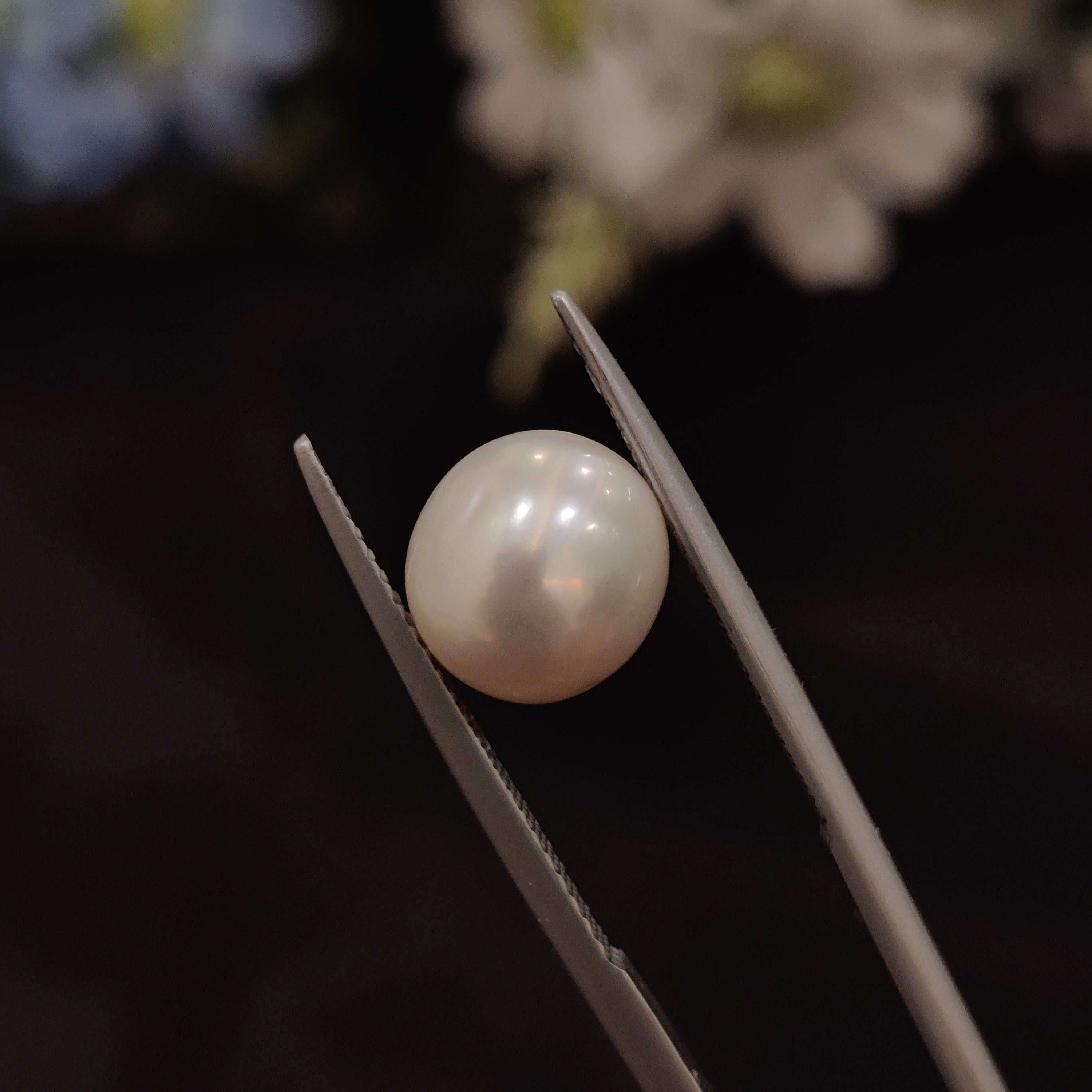 Pearl | Pearl 152 | 5.33 Carat