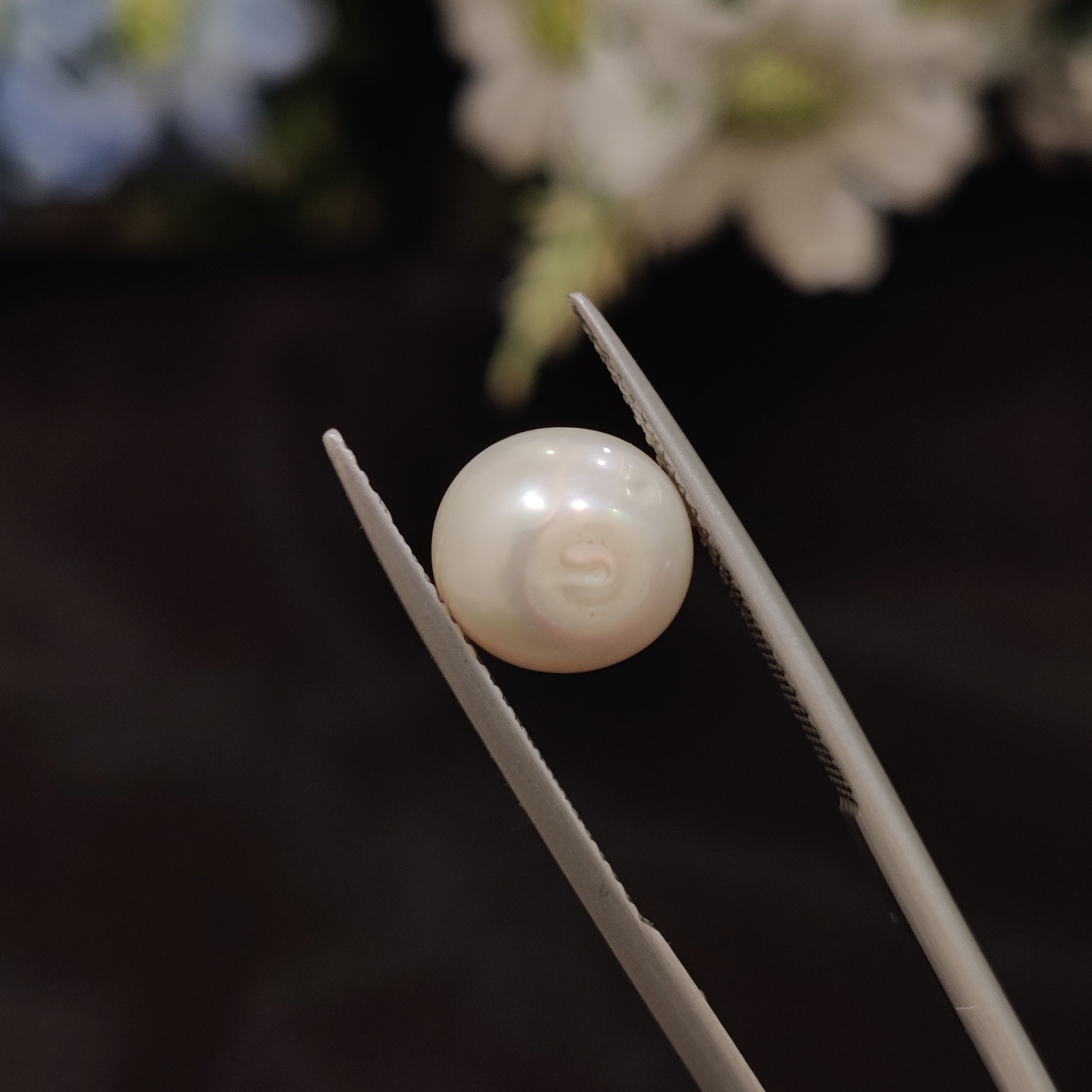 Pearl | Pearl 152 | 5.33 Carat