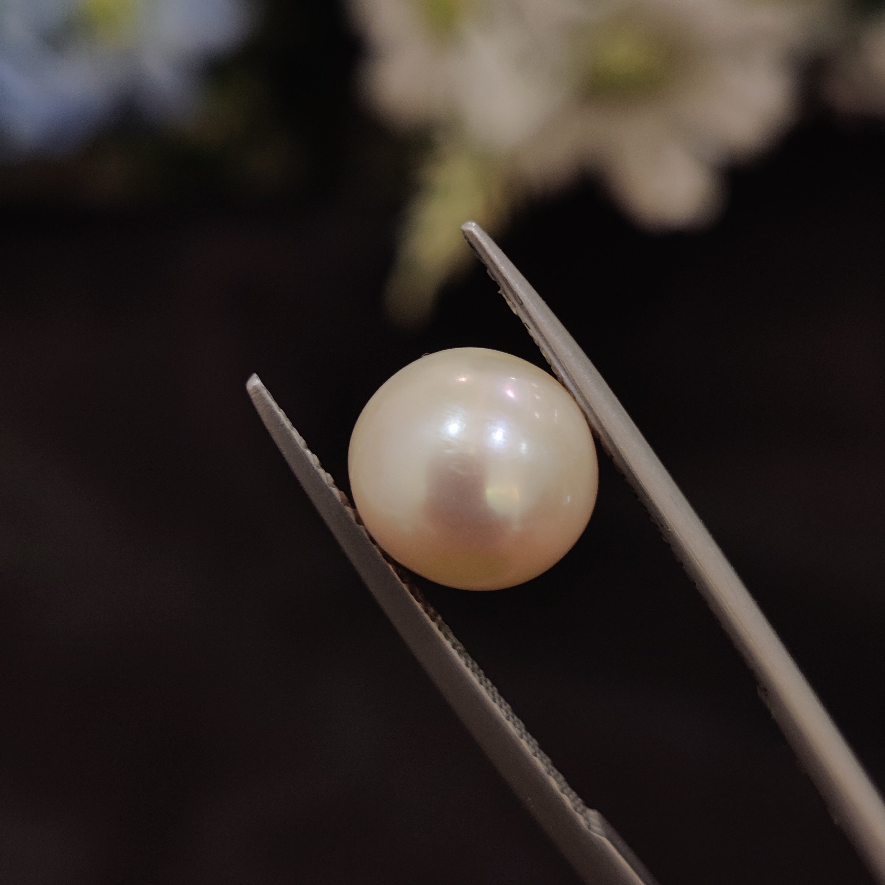 Pearl | Pearl 134 | 5.27 Carat