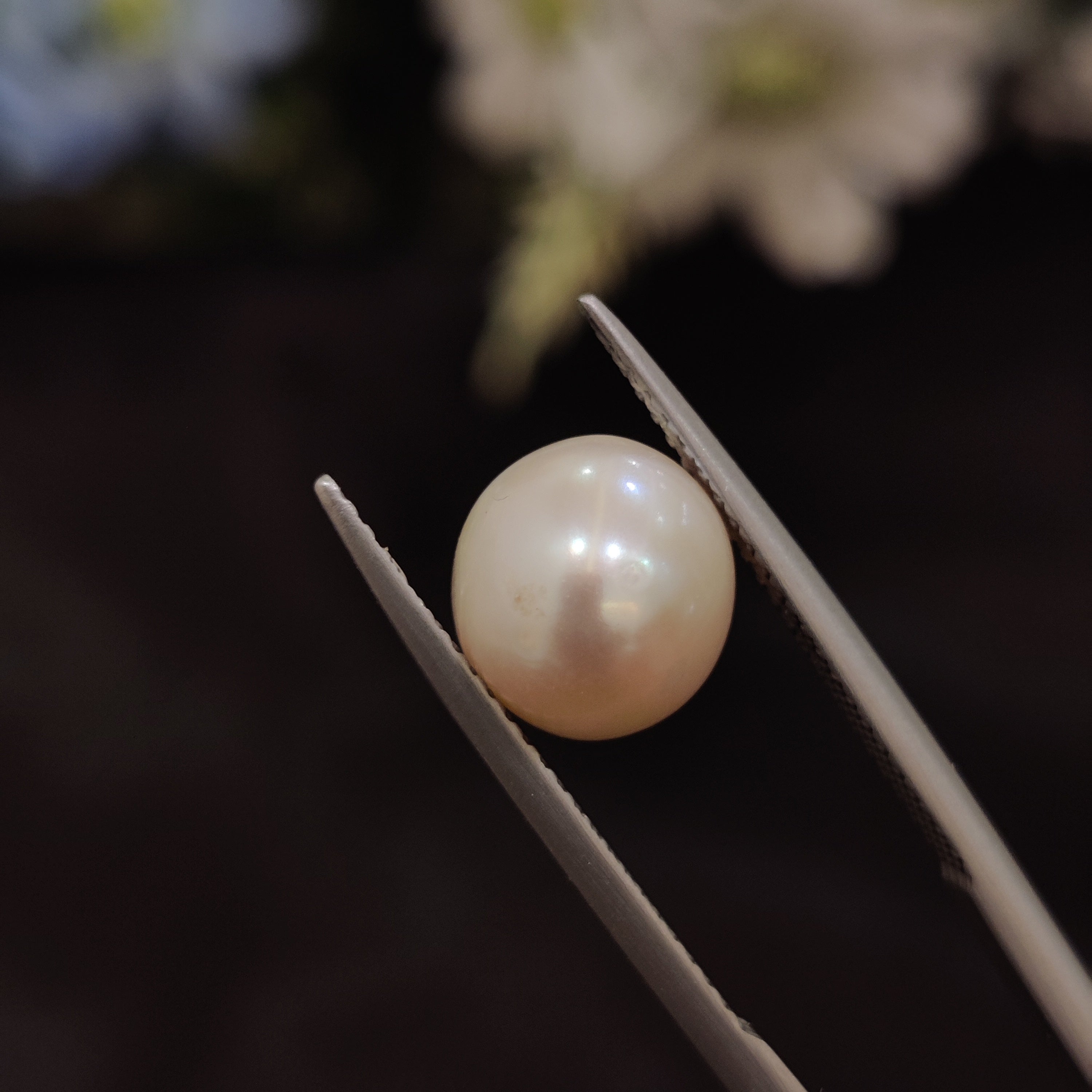 Pearl | Pearl 134 | 5.27 Carat
