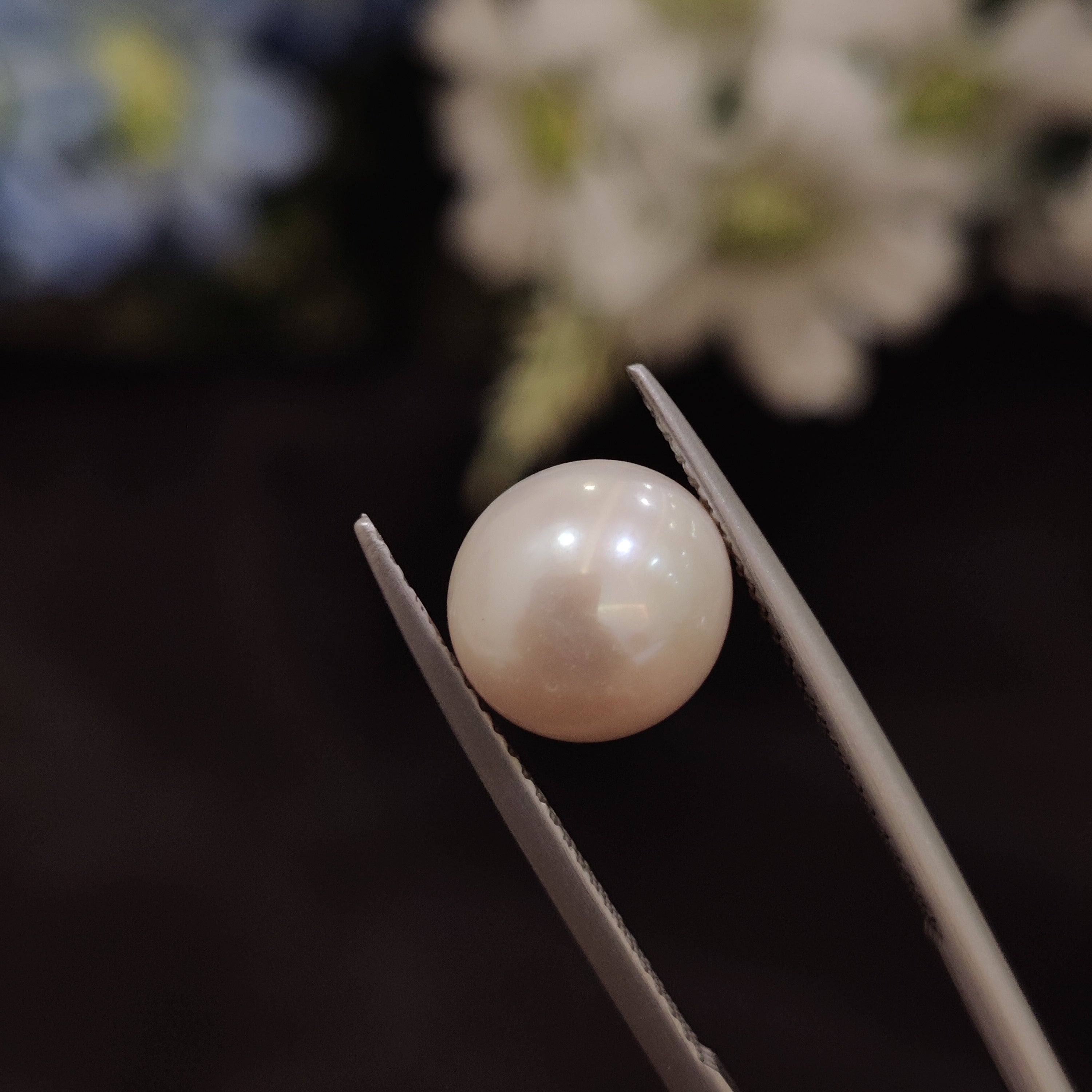 Pearl | Pearl 218 | 5.31 Carat