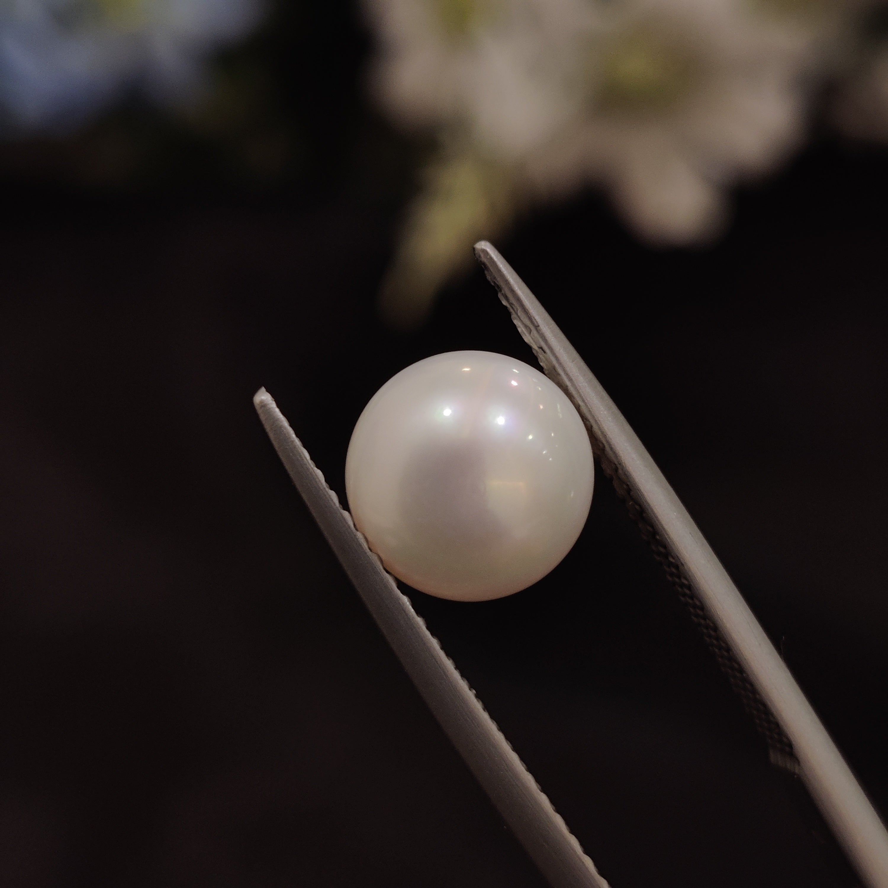Pearl | Pearl 146 | 4.6 Carat