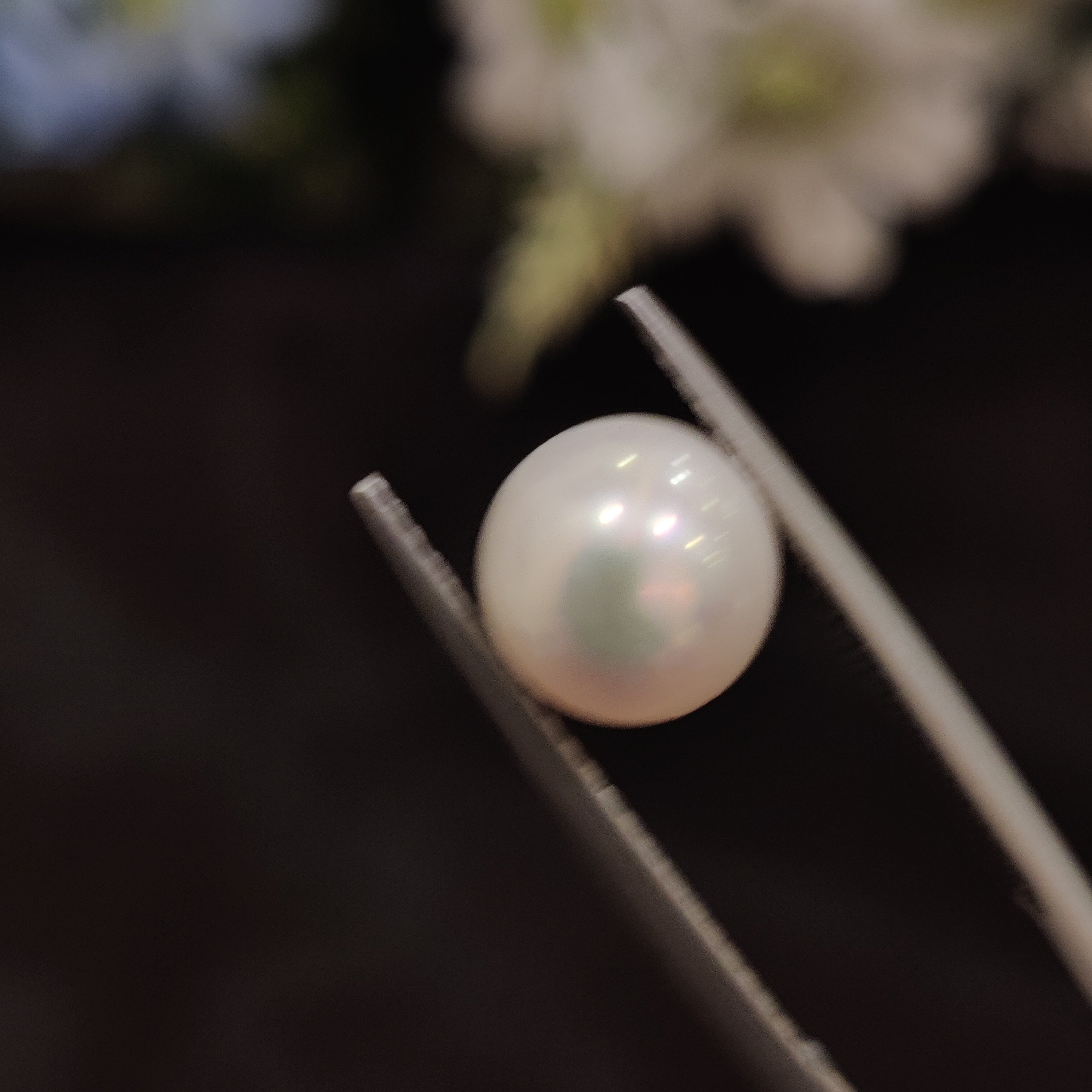 Pearl | Pearl 146 | 4.6 Carat