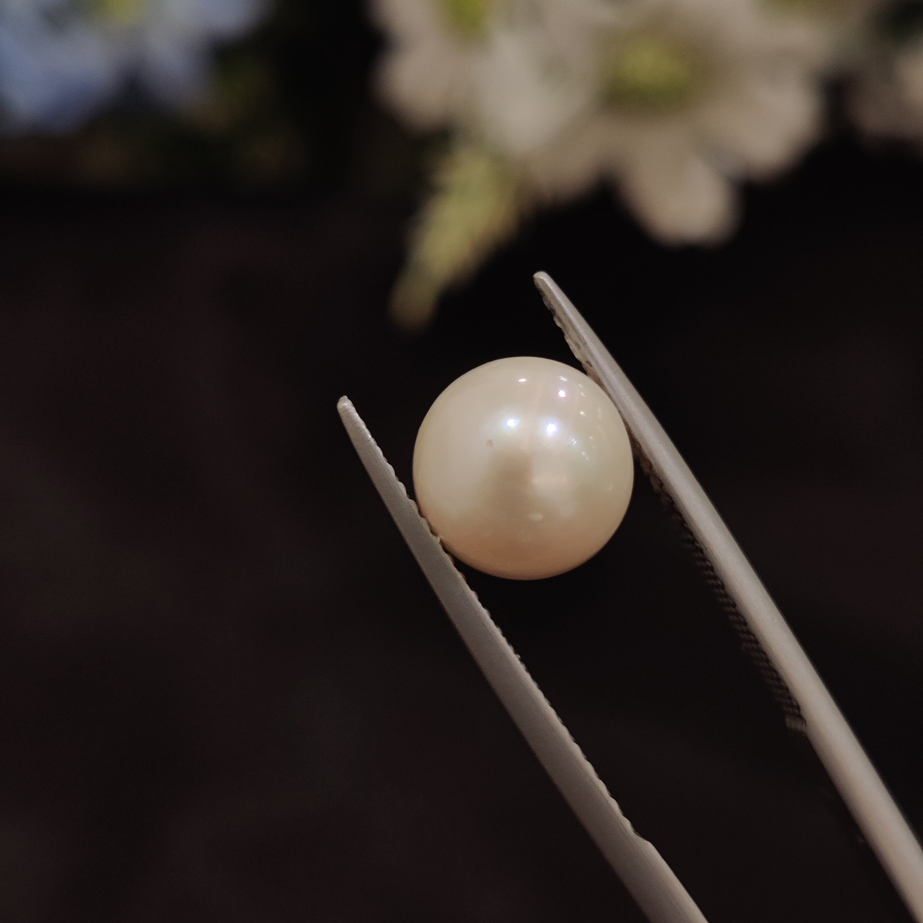 Pearl | Pearl 125 | 5.76 Carat