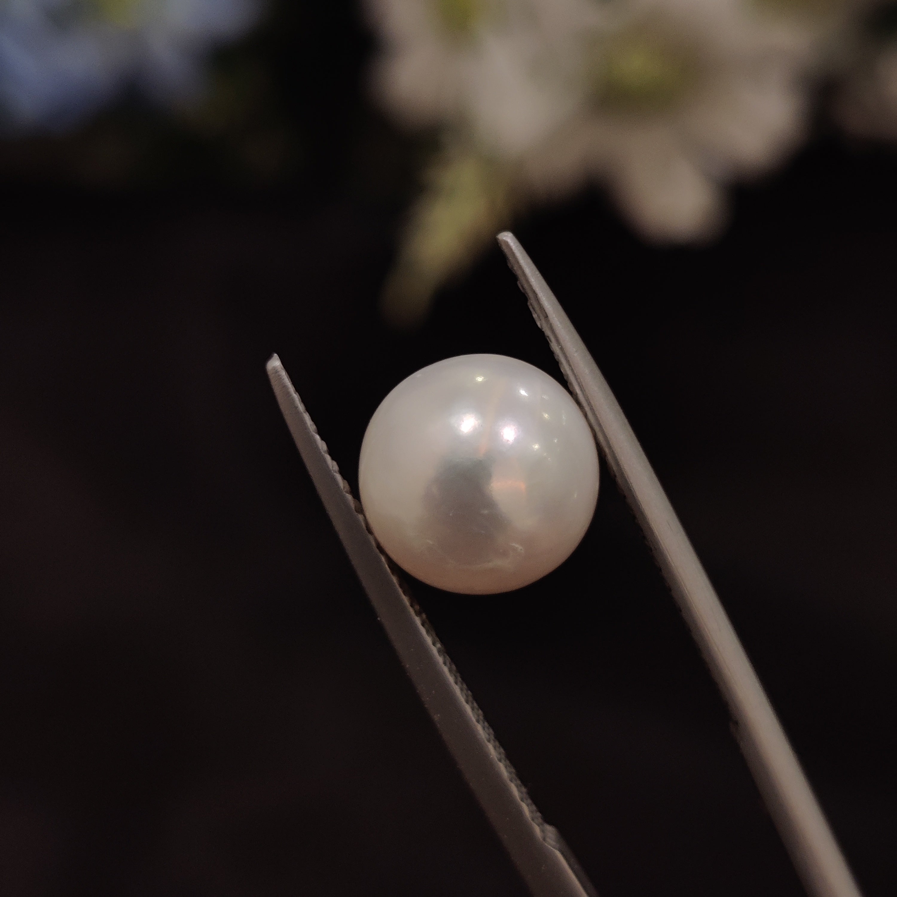 Pearl | Pearl 184 | 5.08 Carat