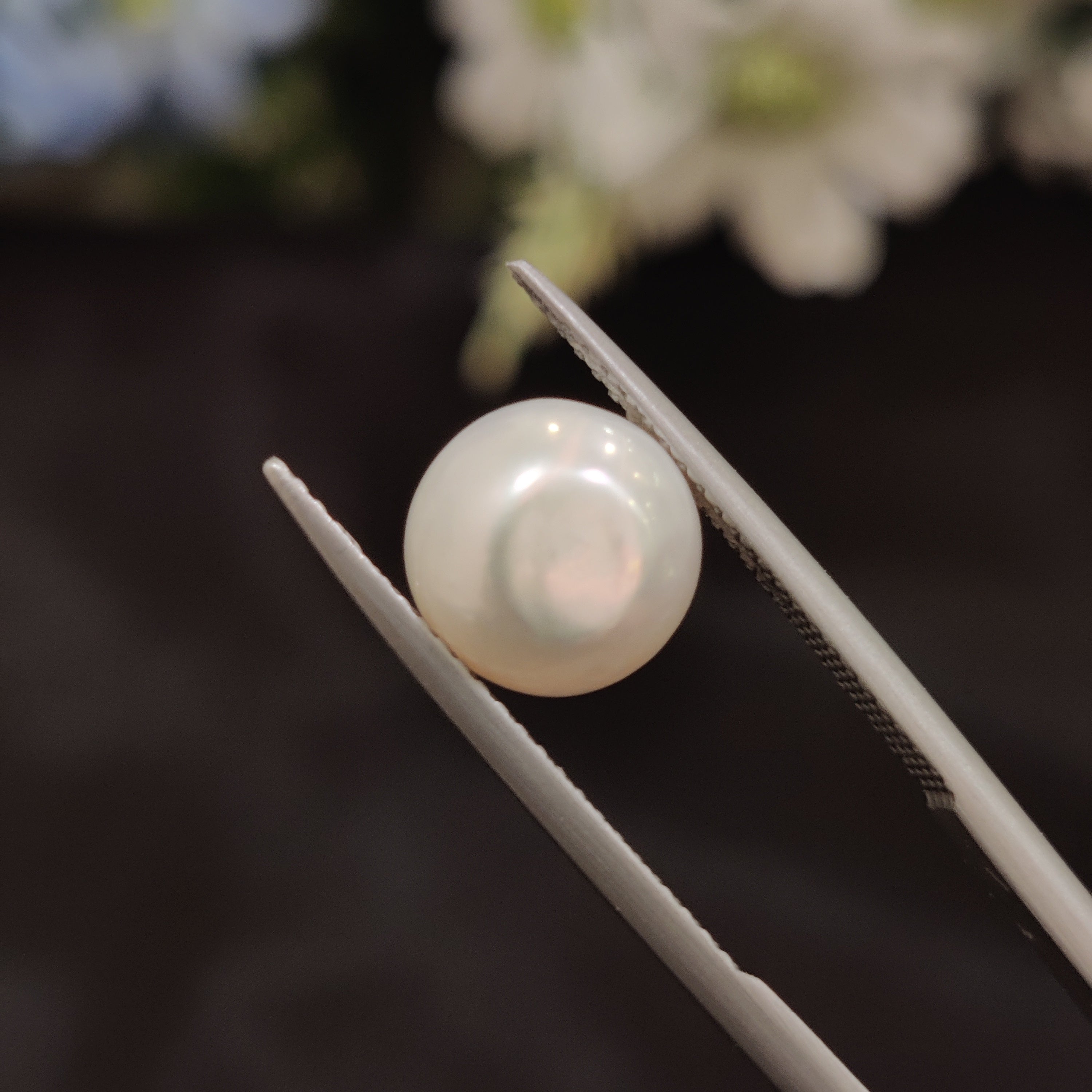 Pearl | Pearl 184 | 5.08 Carat