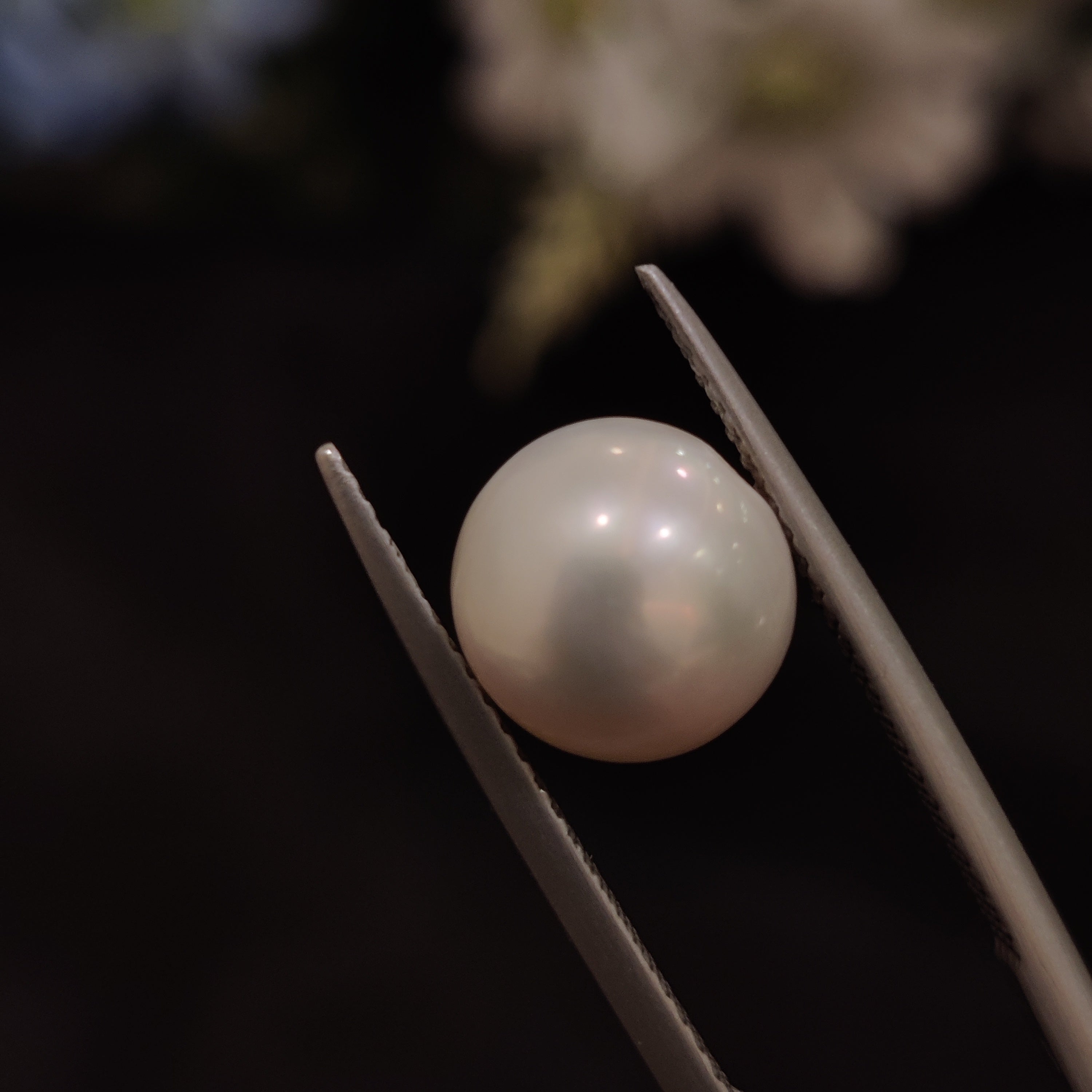 Pearl | Pearl 173 | 5.37 Carat
