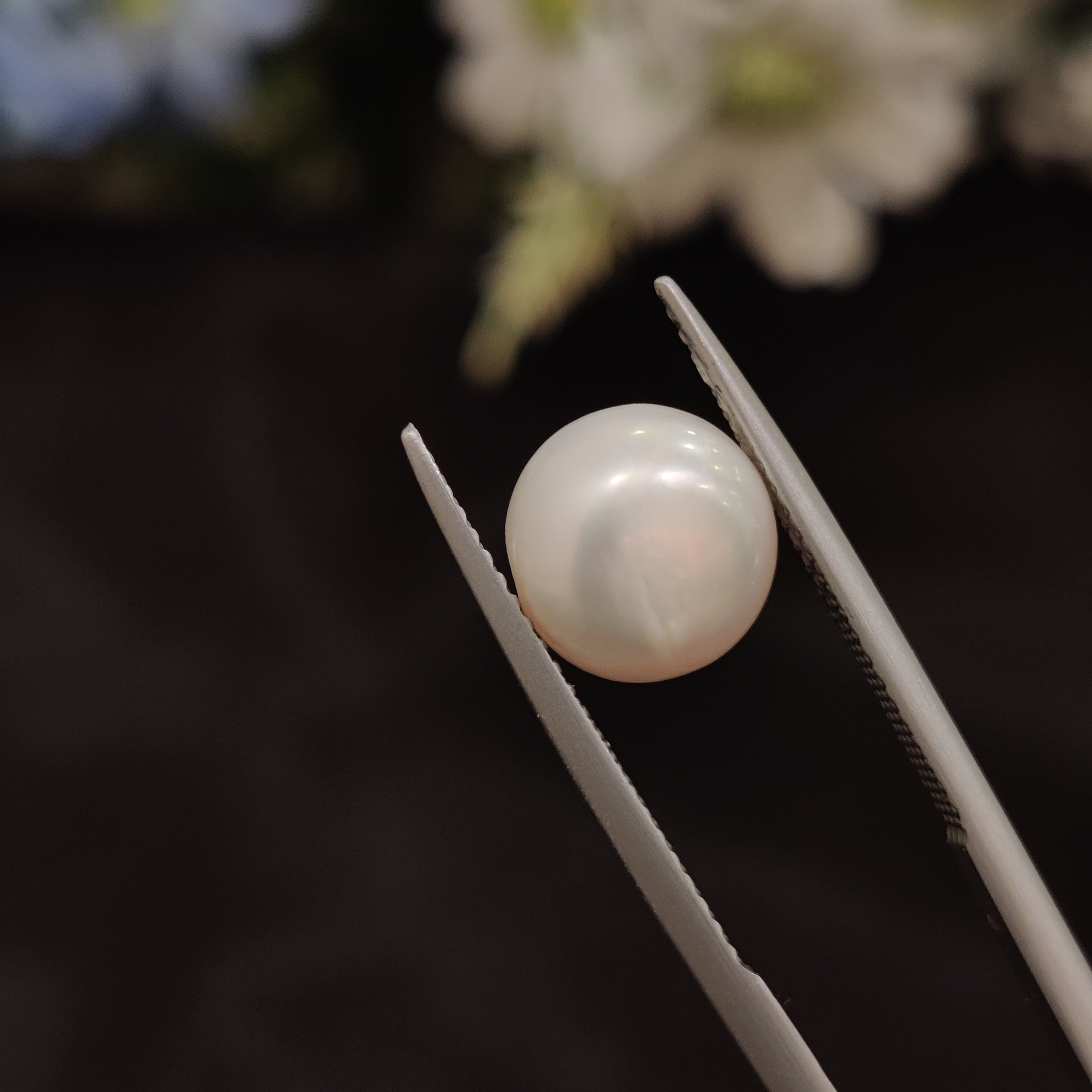 Pearl | Pearl 173 | 5.37 Carat