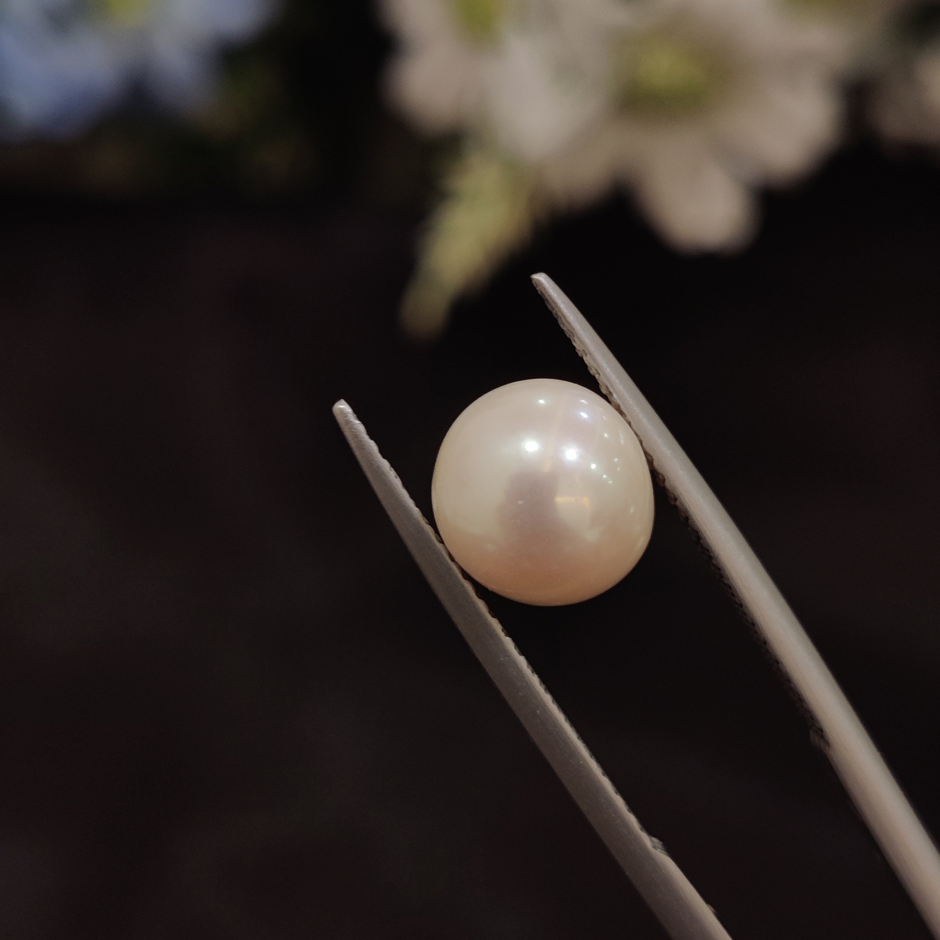Pearl | Pearl 185 | 4.81 Carat