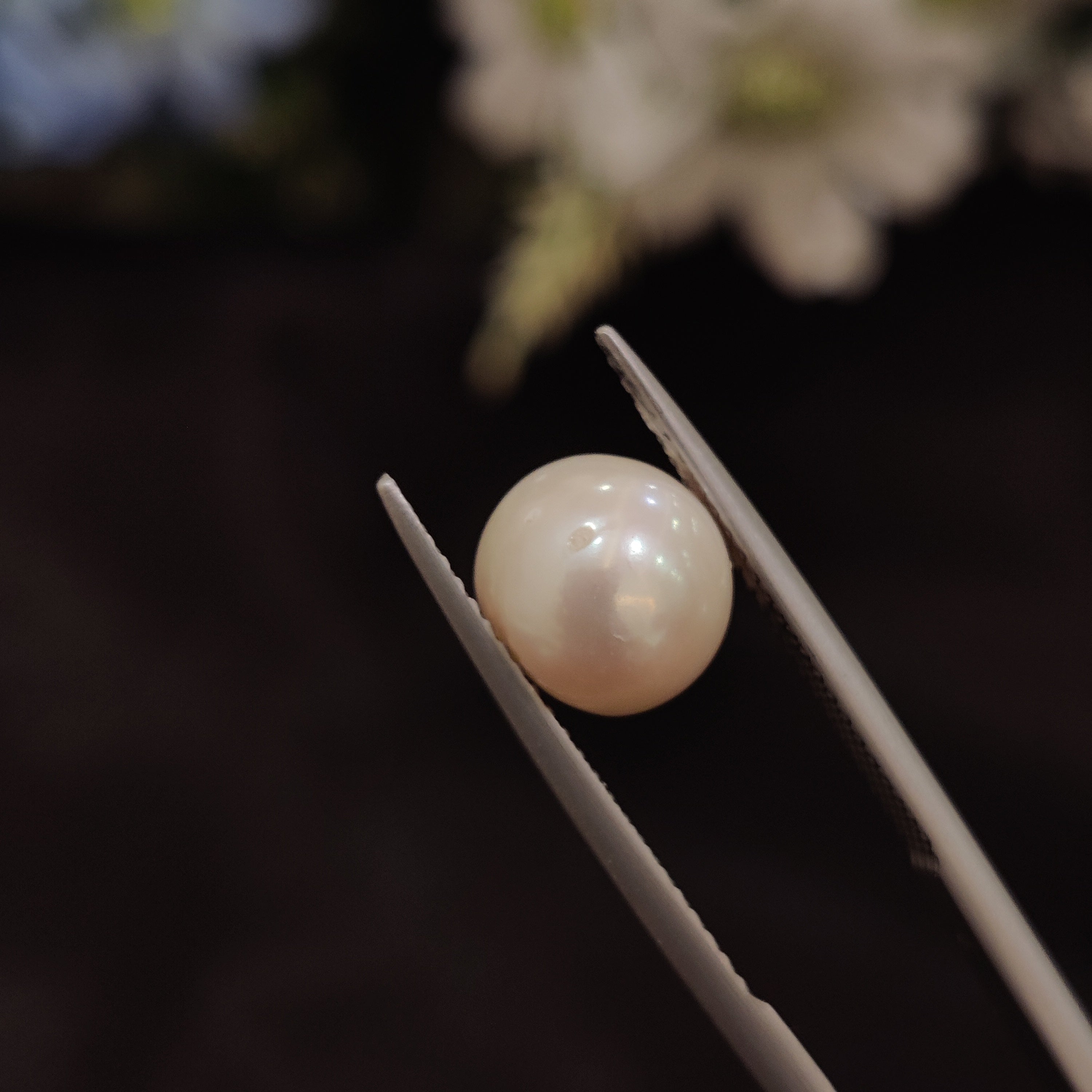 Pearl | Pearl 185 | 4.81 Carat