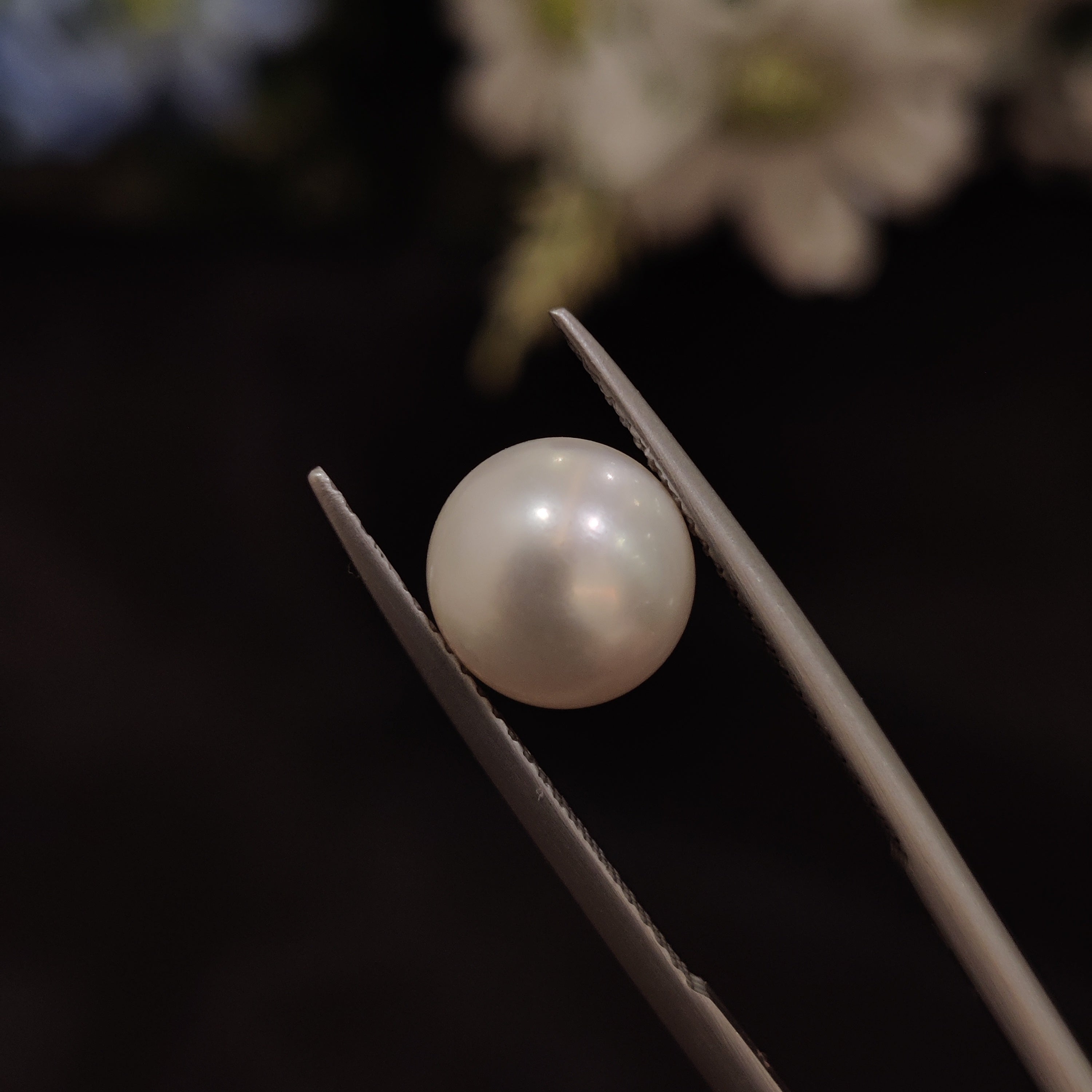 Pearl | Pearl 220 | 4.56 Carat
